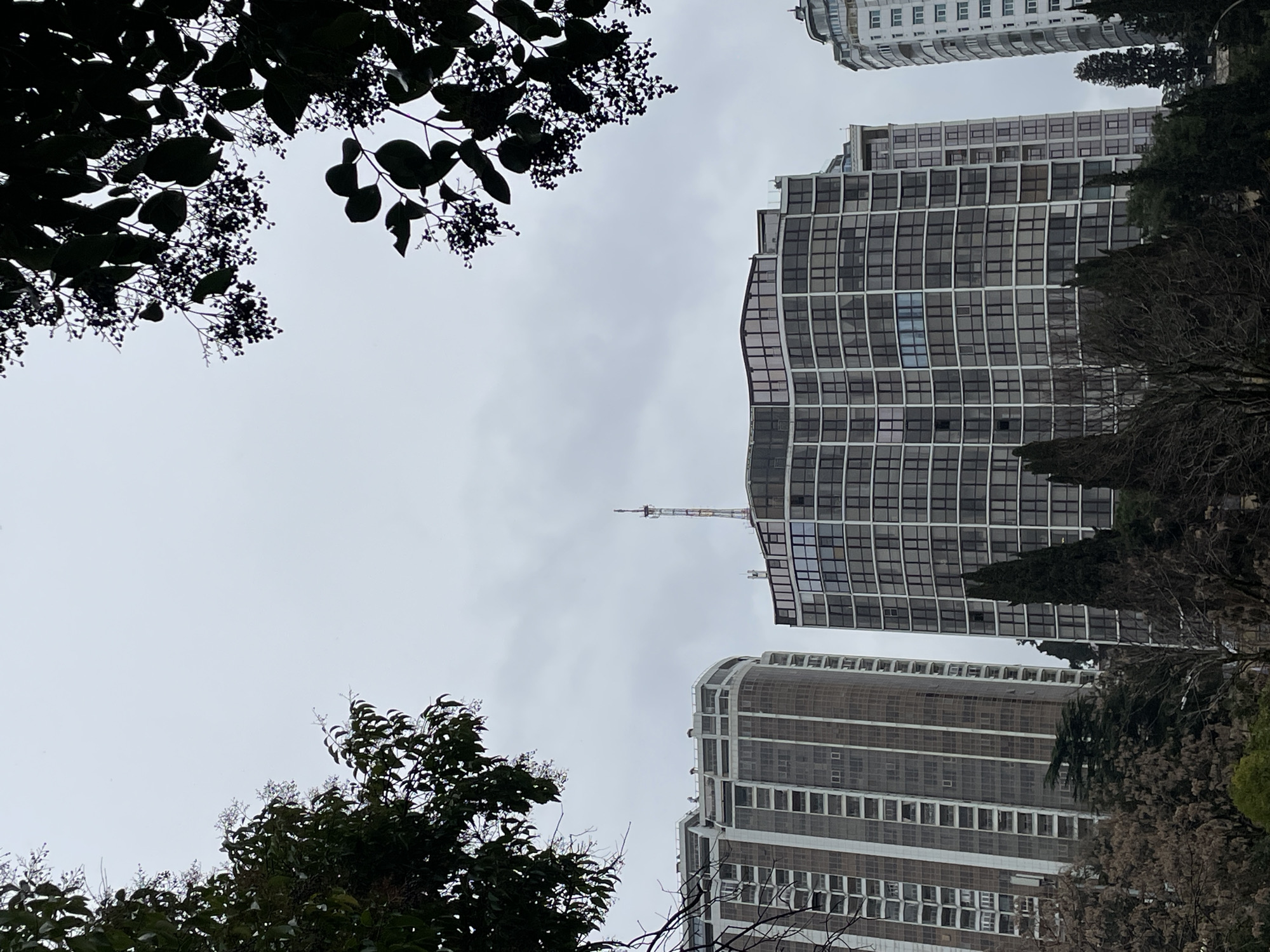 Upward view of buildings and sky captured in Sochi