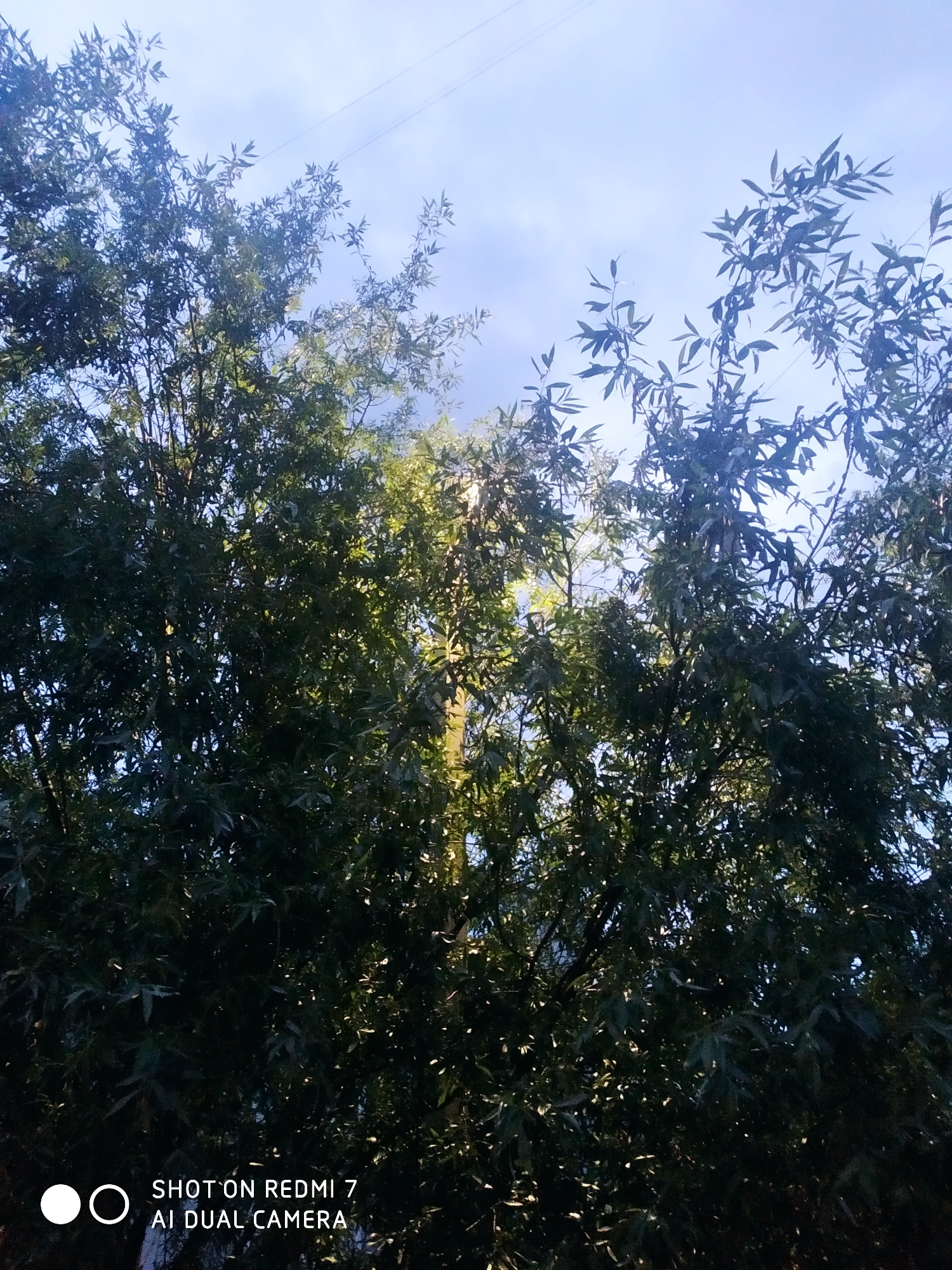 Quiet afternoon moments captured in Chaikovsky, Russia