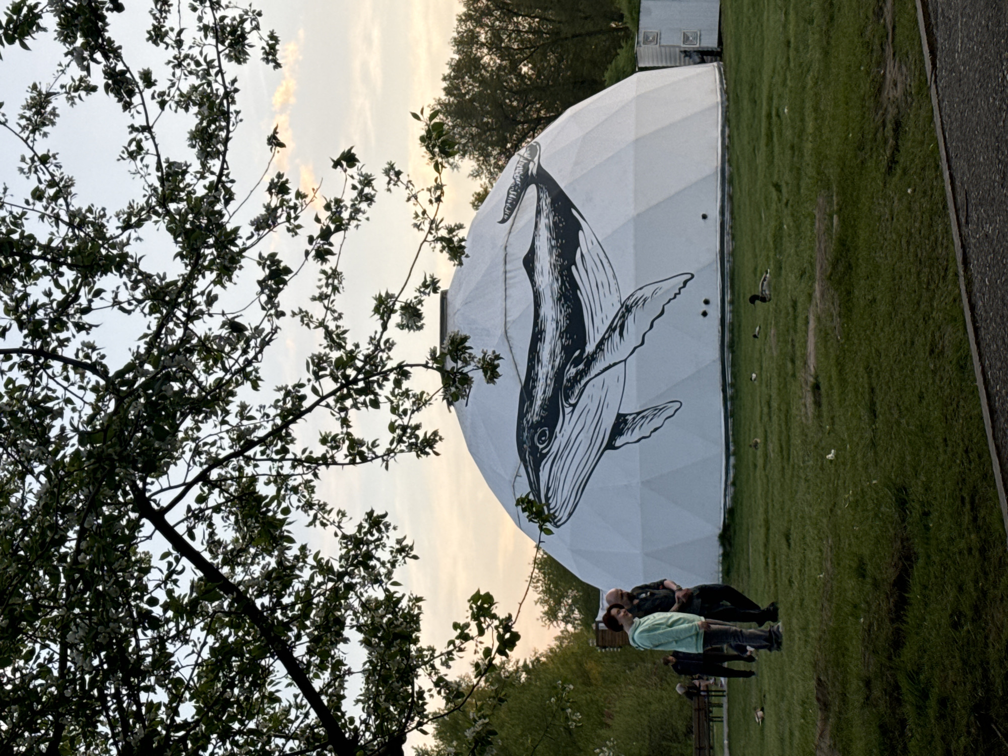 Whale-painted geodesic dome draws visitors in Krasnoyarsk park