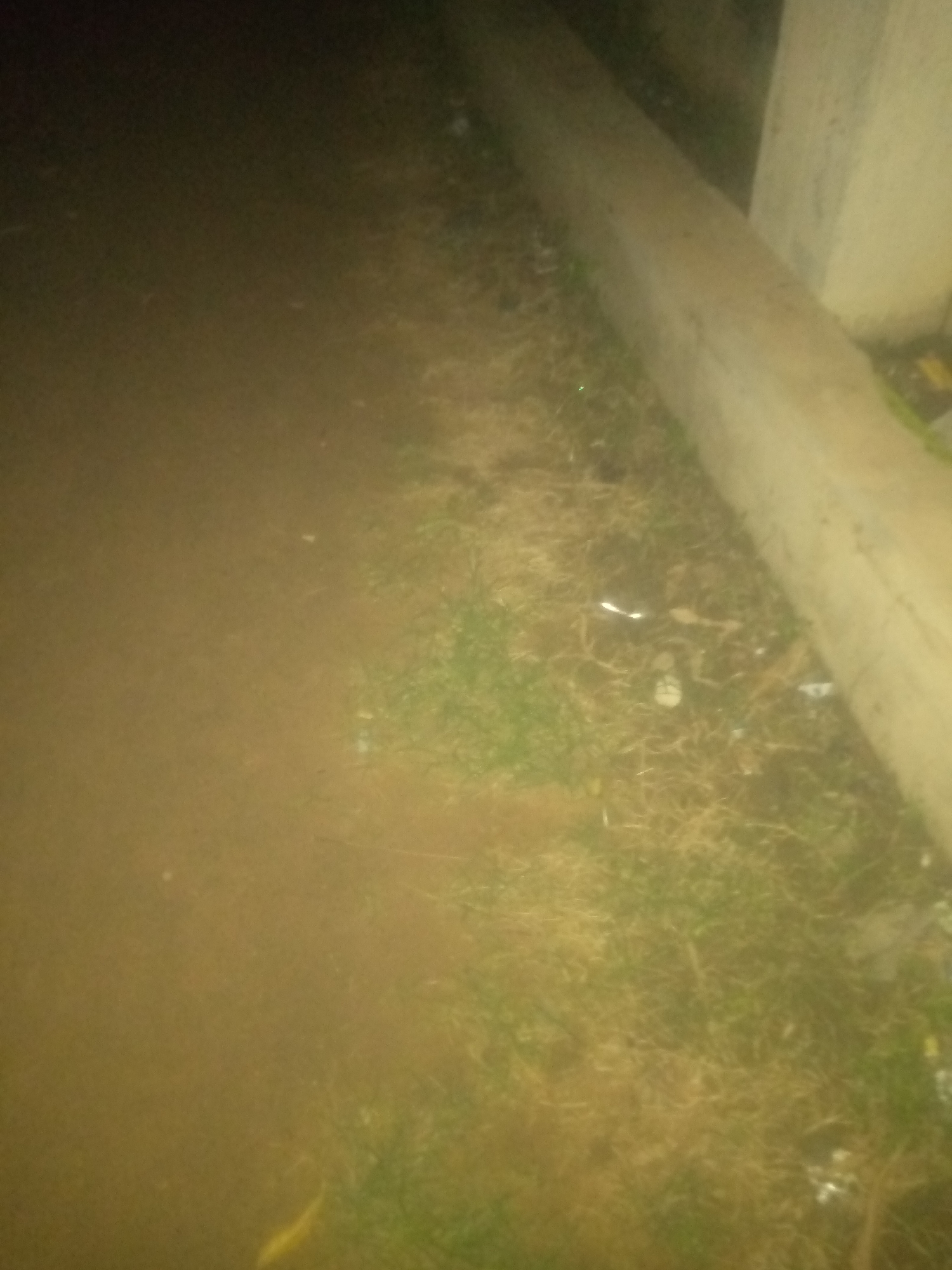 Nighttime wander through a rough urban edge, ICI Academy area