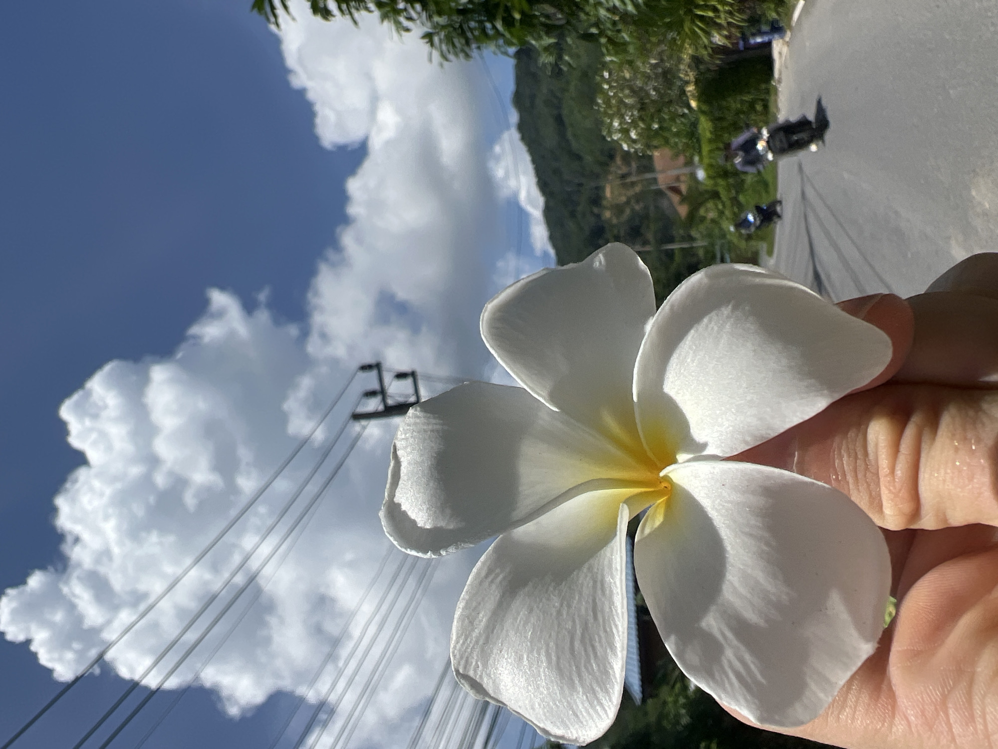 Plumeria, boats, and villa life in Choeng Thale