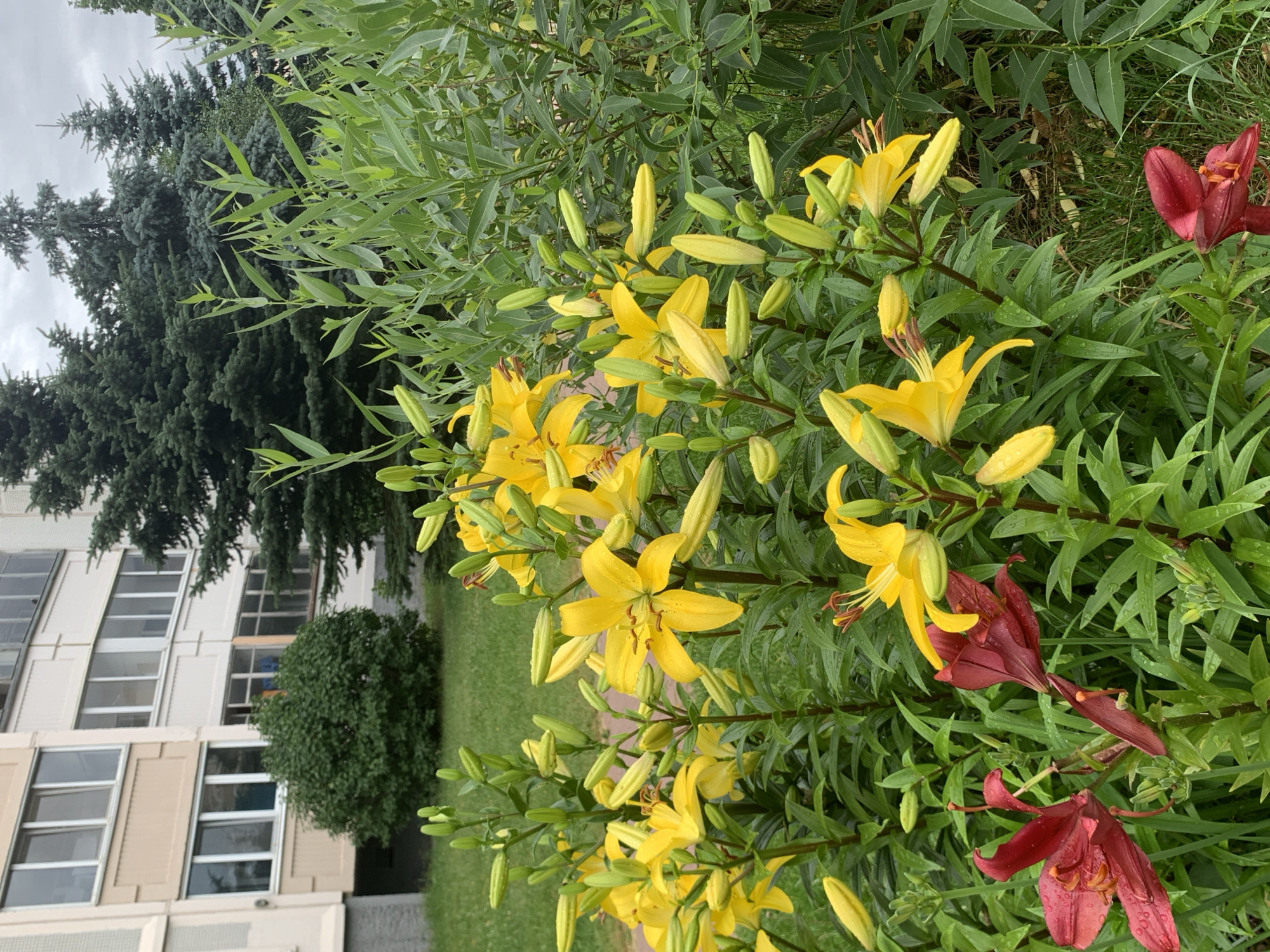 Minsk neighborhood walk: metro, streets, flowers, and Soviet-era apartments