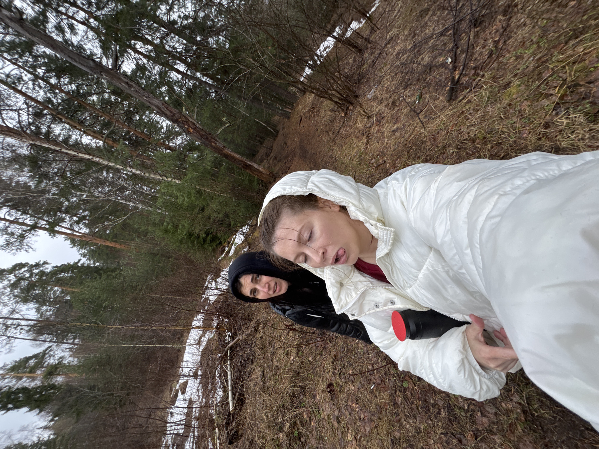 Two people spotted in woods near Chaykovsky, Russia