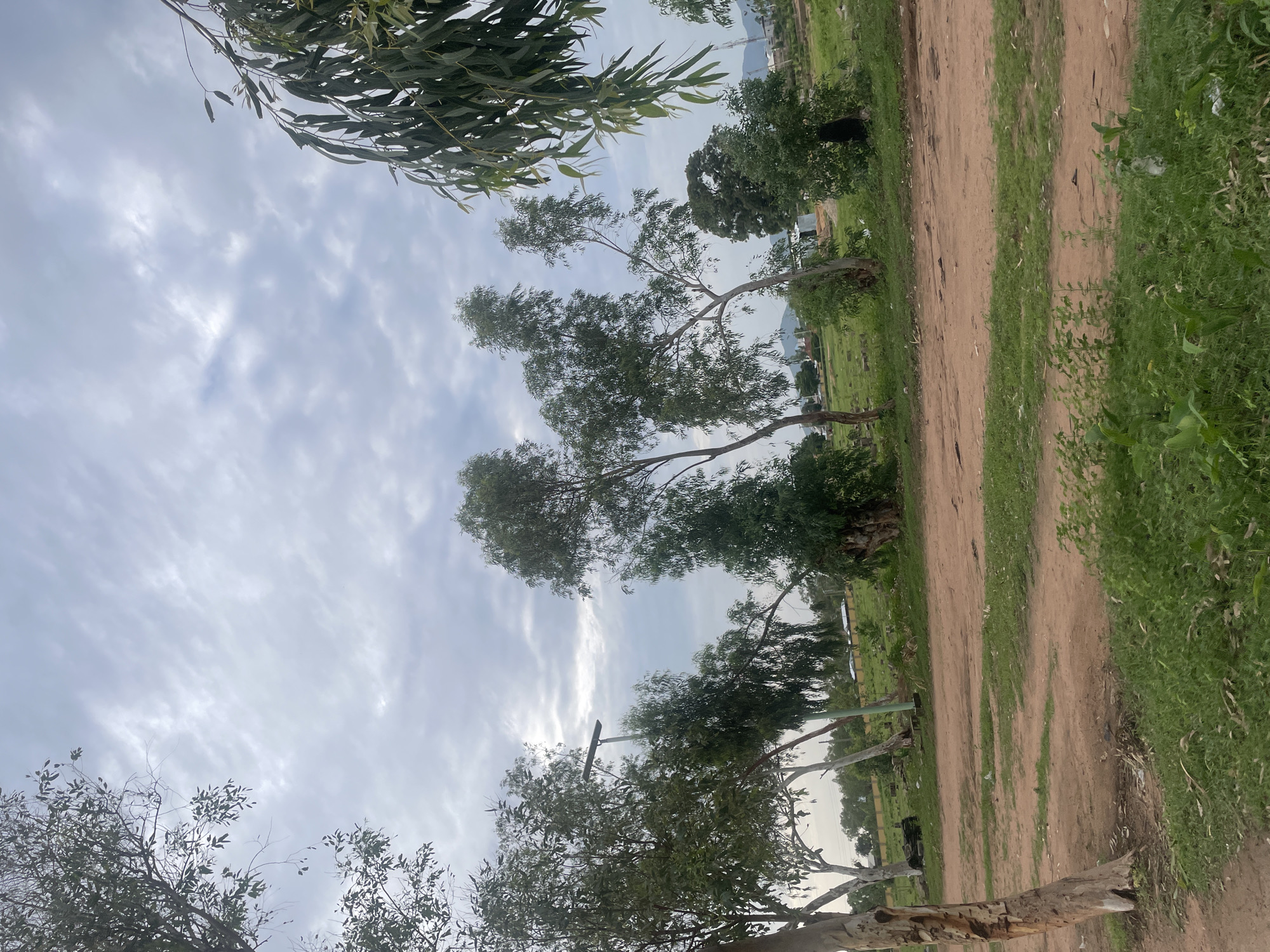 Overcast afternoon at a open field in Jauro Yinu, Nigeria