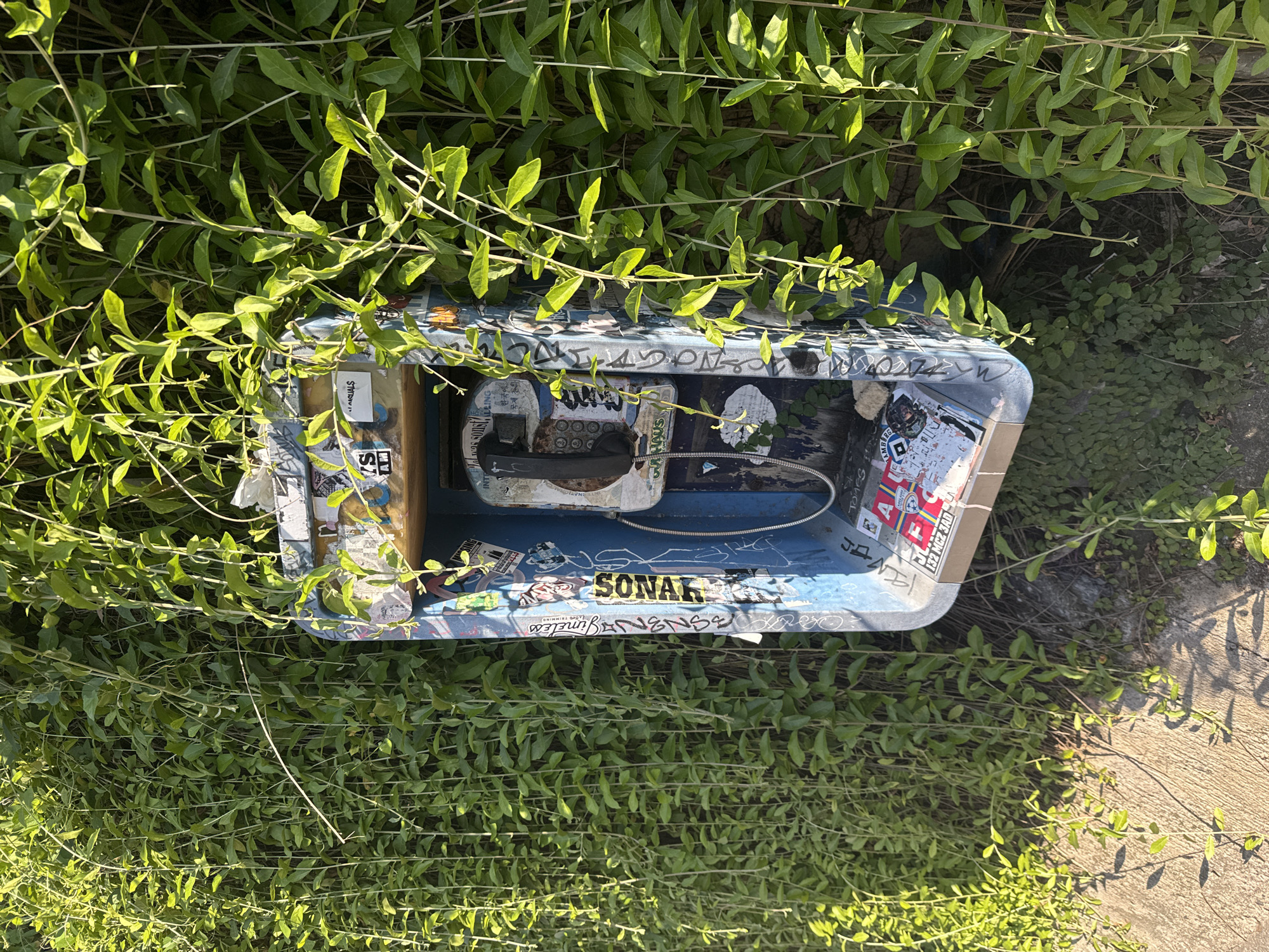 Overgrown payphone spotted amid vegetation in Kuta, Indonesia