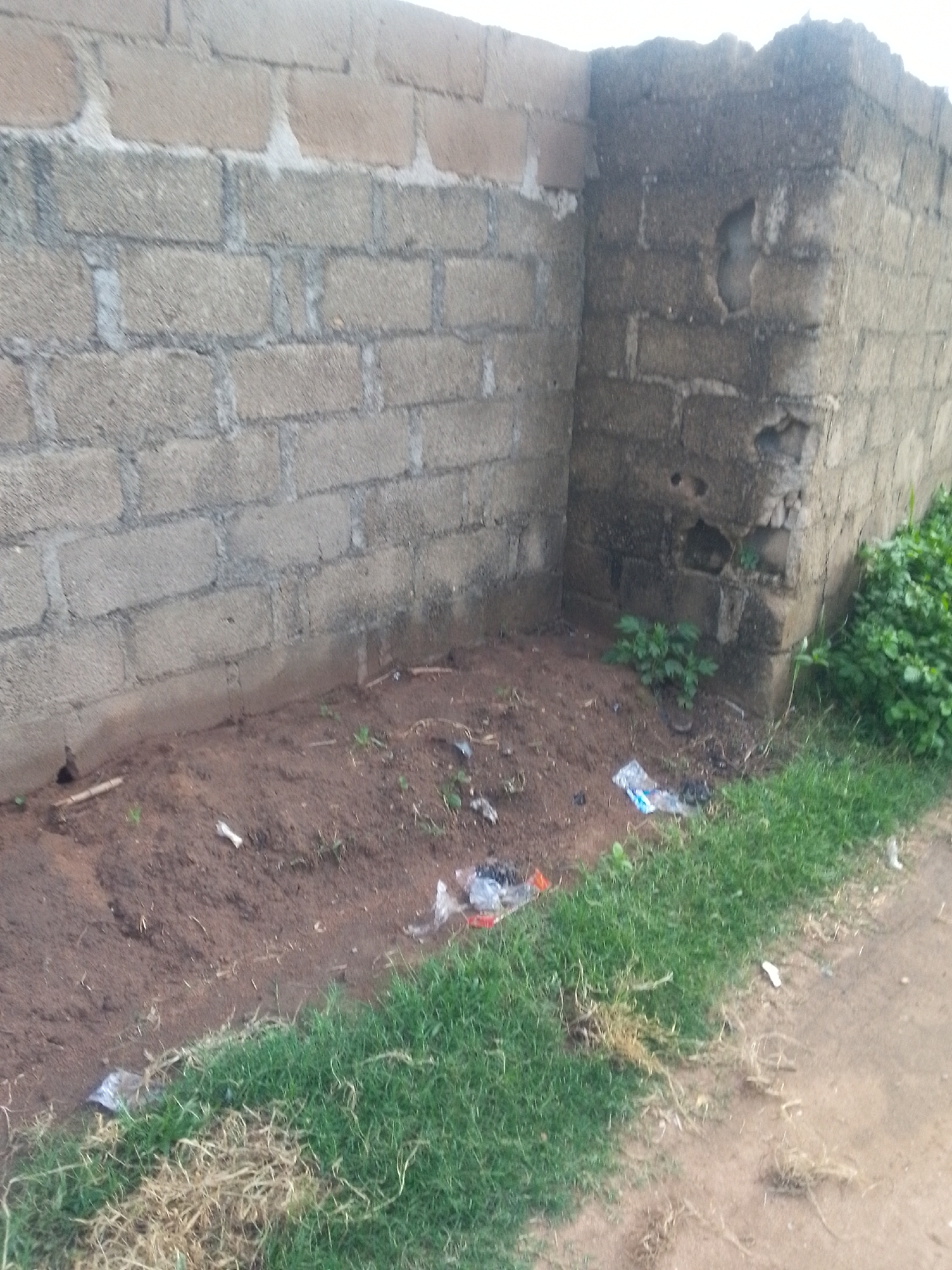 Afternoon snapshots of streets, walls, and gardens in Jalingo
