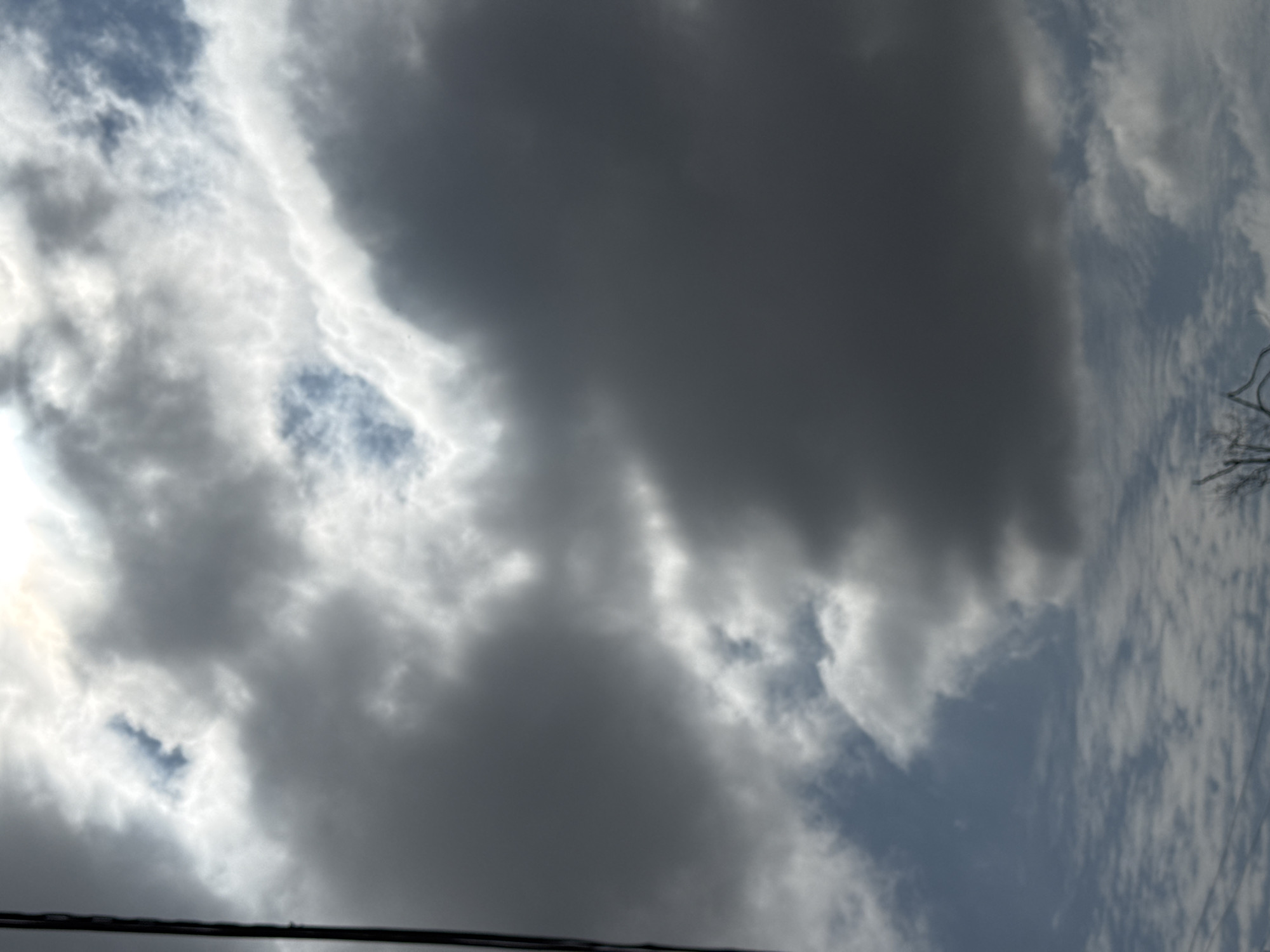 Looking up: clouds, power lines, bird nests, and street-level flora