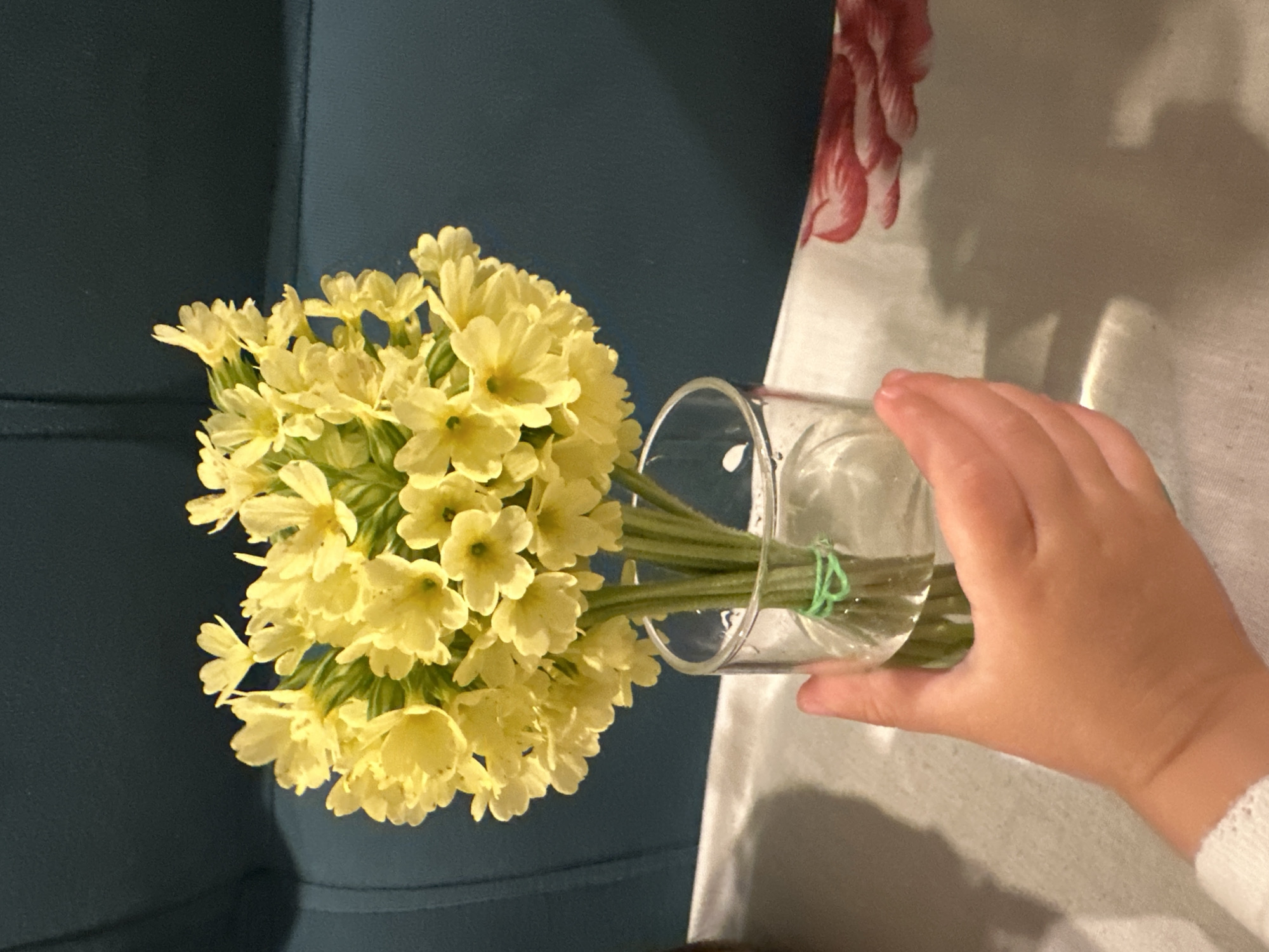 Baby receives yellow primrose bouquet in Wisła home