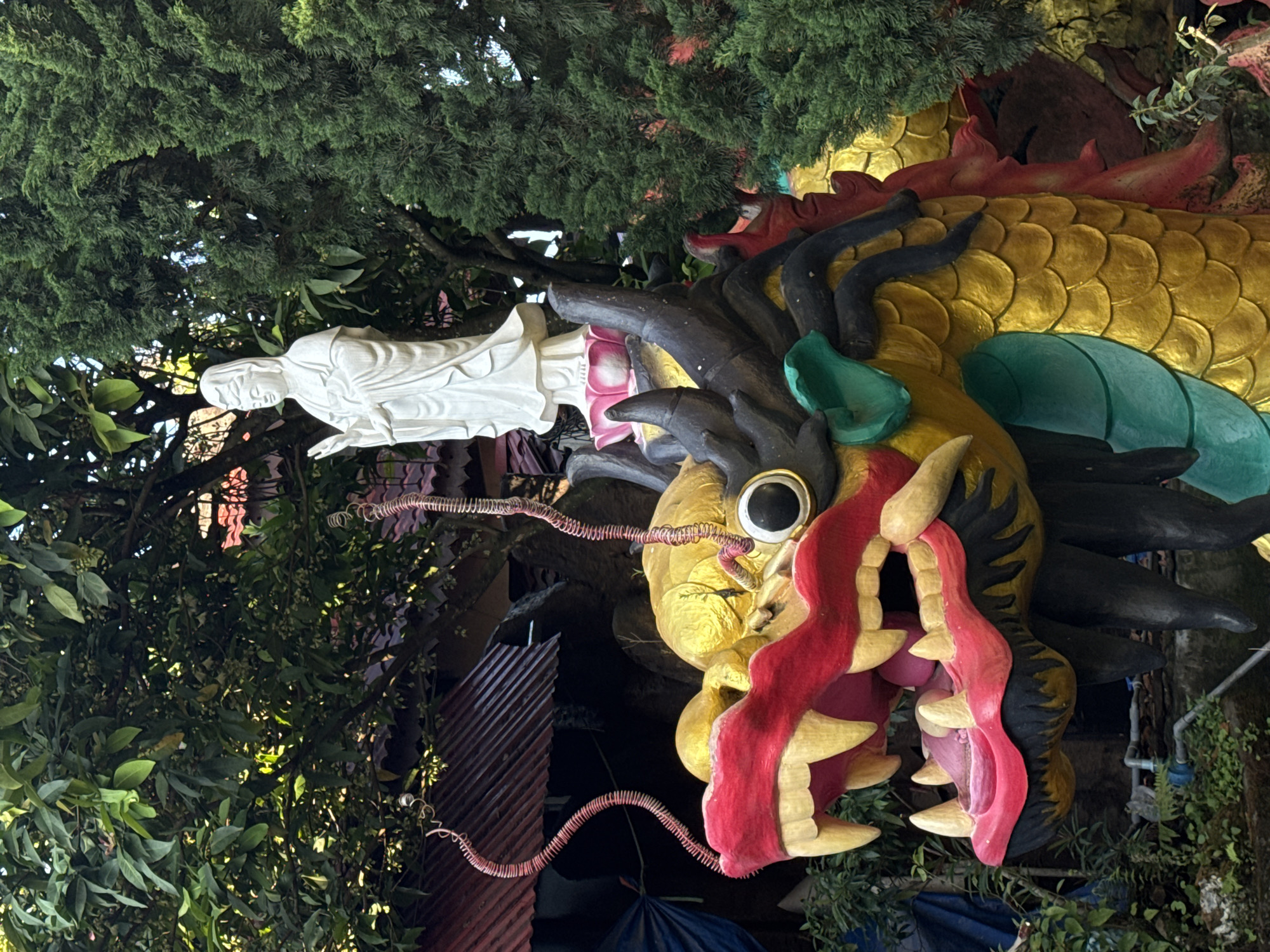 Buddhist temple grounds documented in Đà Lạt, Vietnam