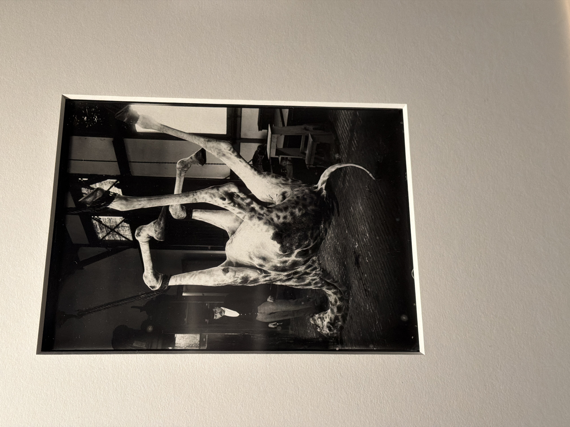 Photography exhibition and Rotterdam streets, July 2026