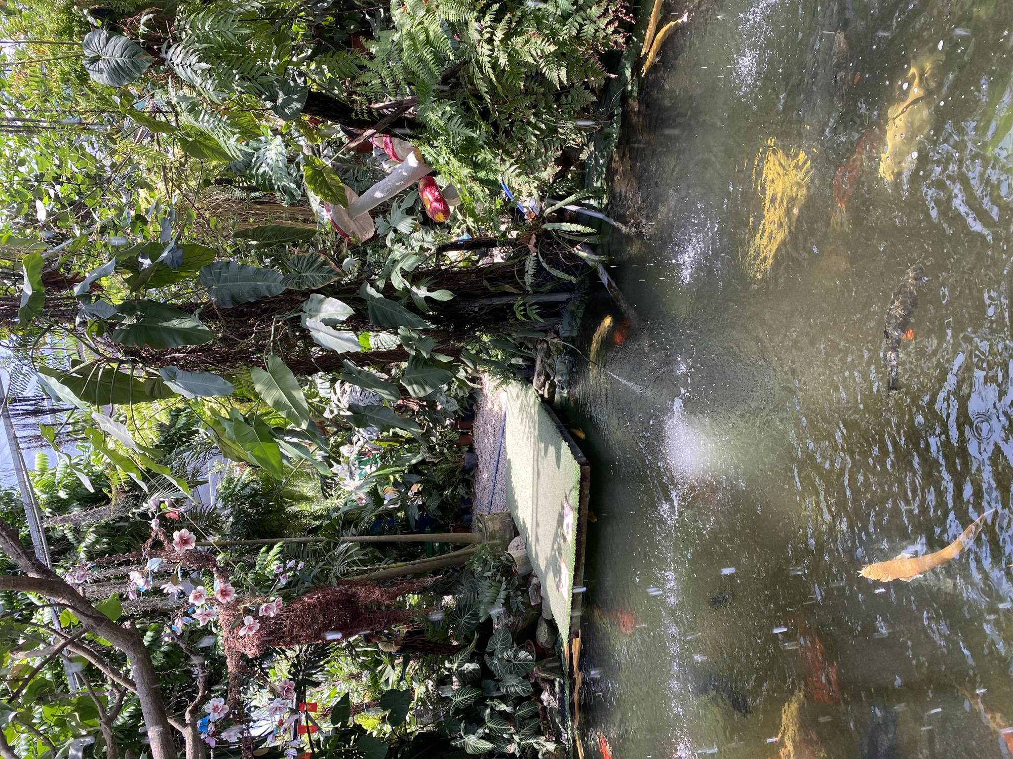 Fish, dinosaurs, and koi ponds at a Da Nang attraction