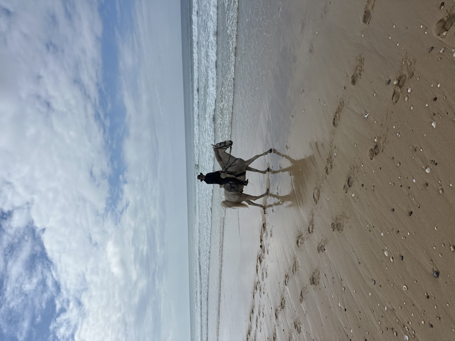 Beach horseback riding observed in Portugal coastal area