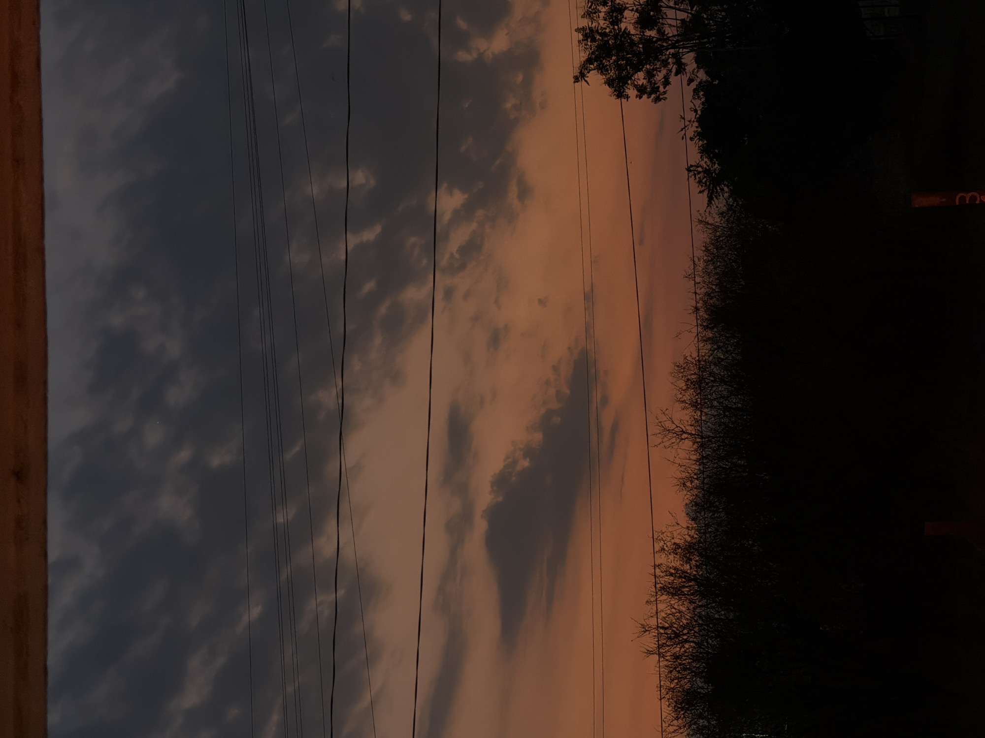 Sunset skies and affectionate dogs captured in Cuautla, Mexico