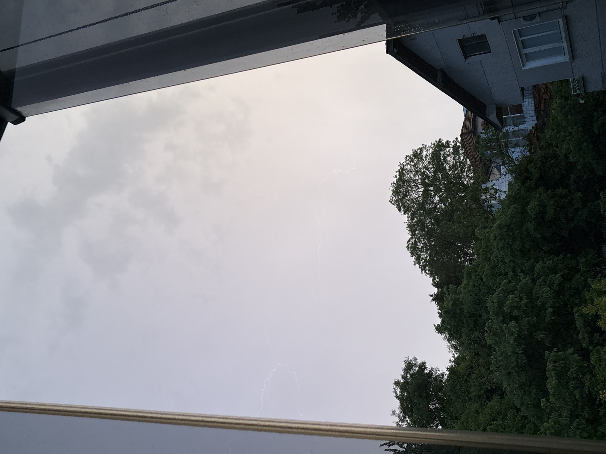 Varna witness captures lightning storm and blooming roses