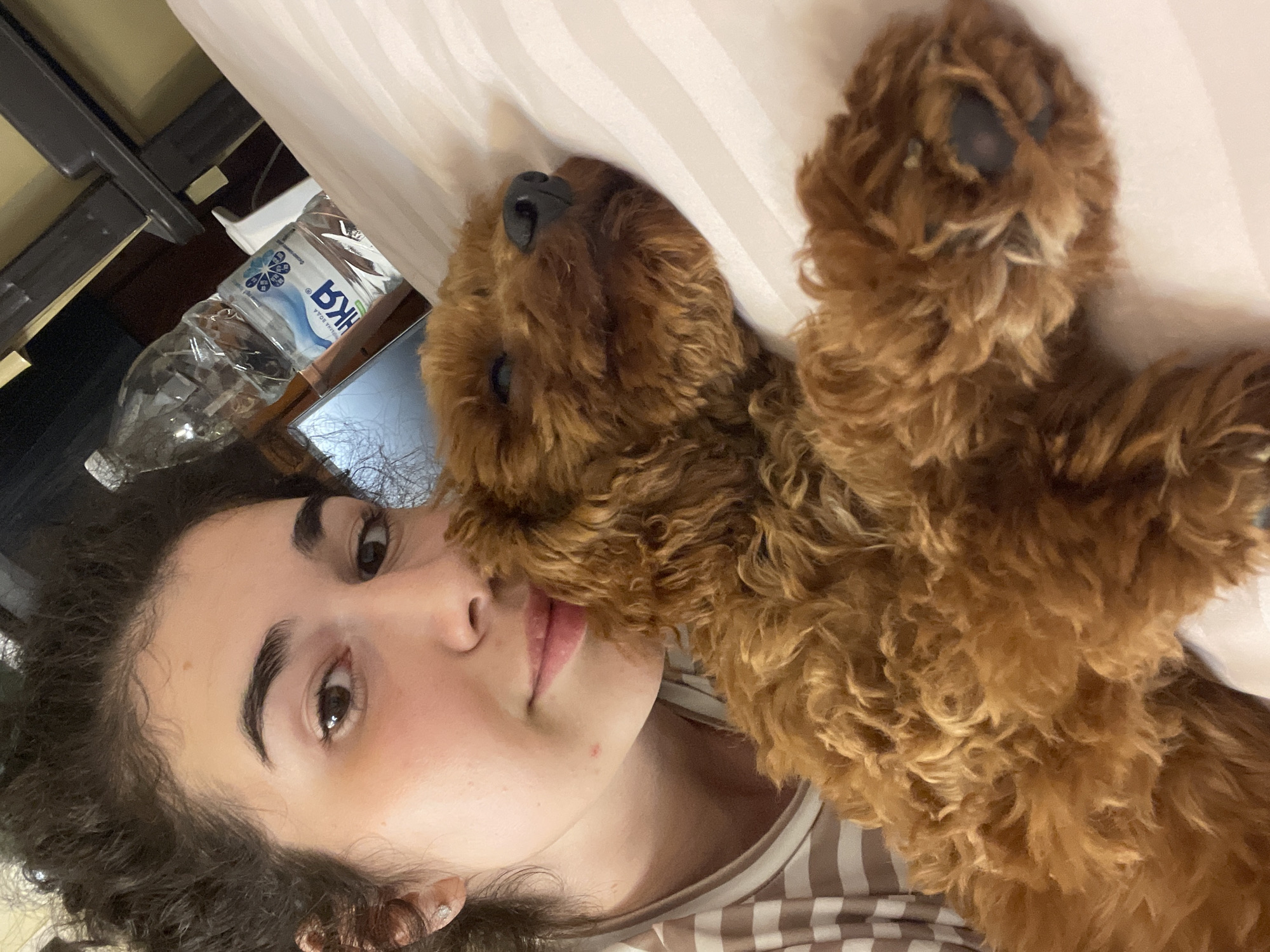 Woman and dog rest together in Sofia bedroom