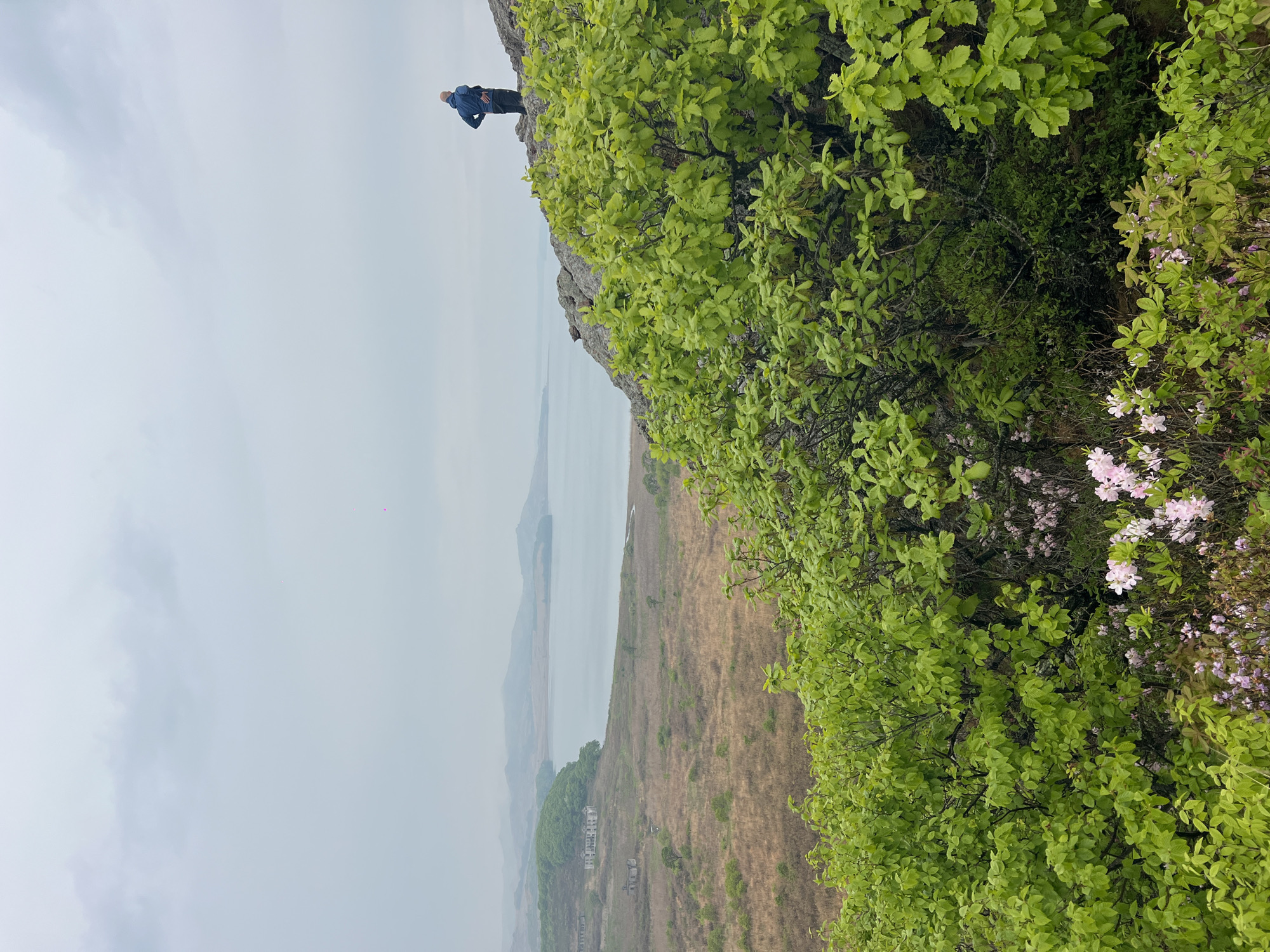 Two people observe coastal landscape from clifftop near Gvozdevo