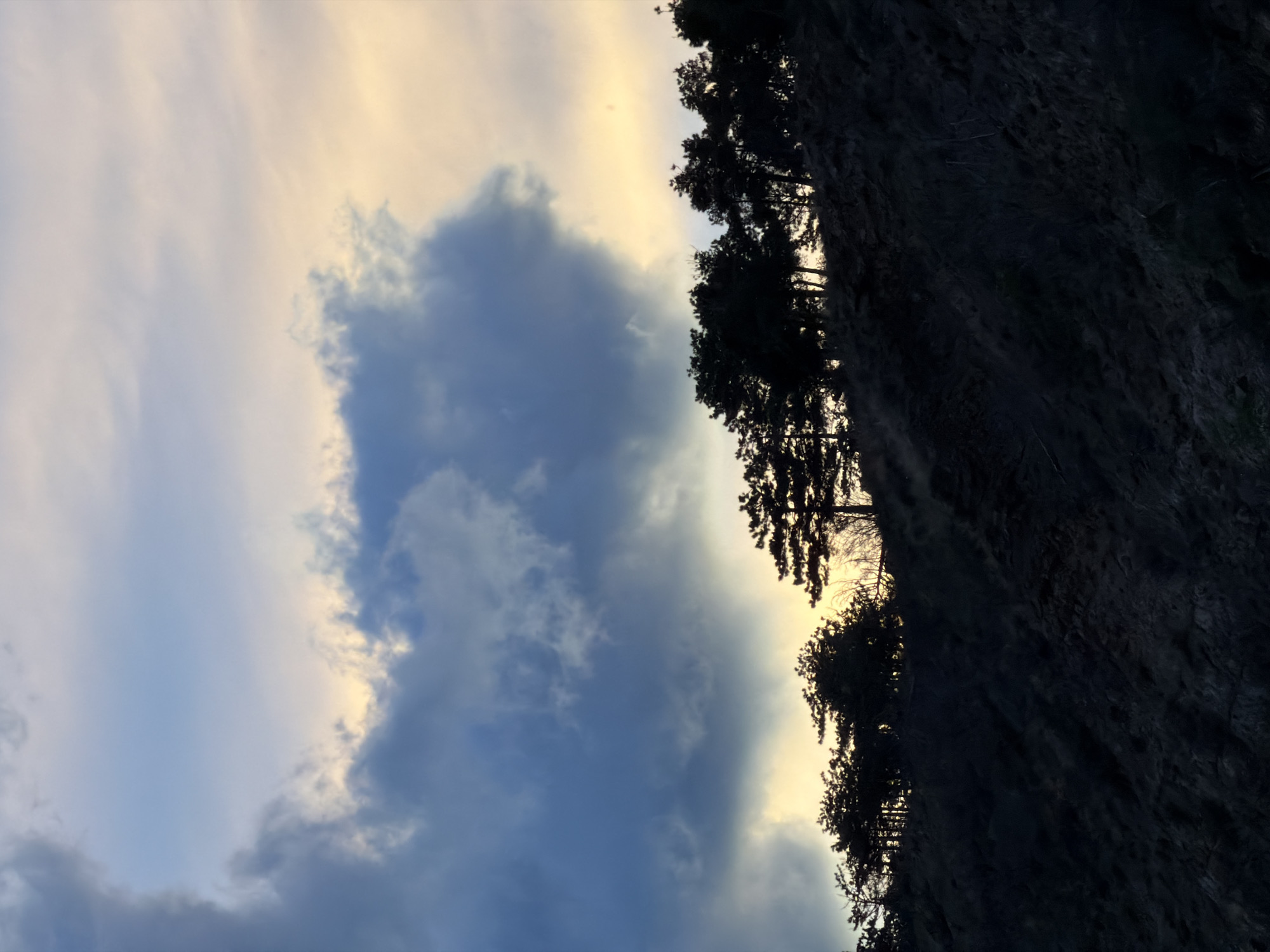 Afternoon moments documented across Tbilisi during golden hour