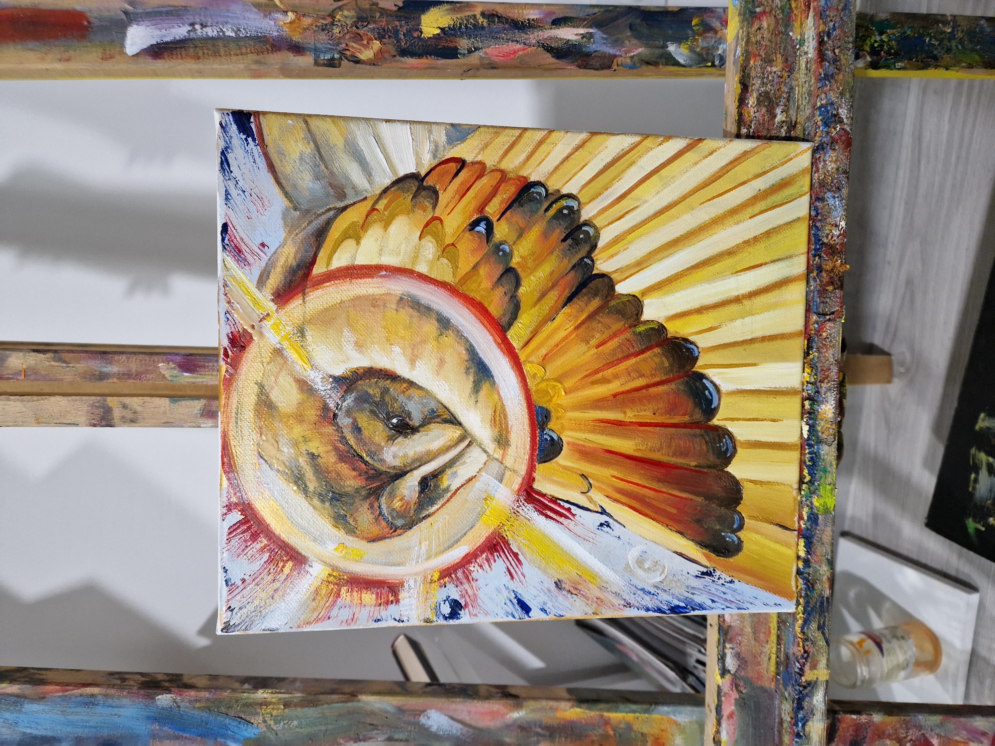 Abstract nature oil paintings observed in brief art display