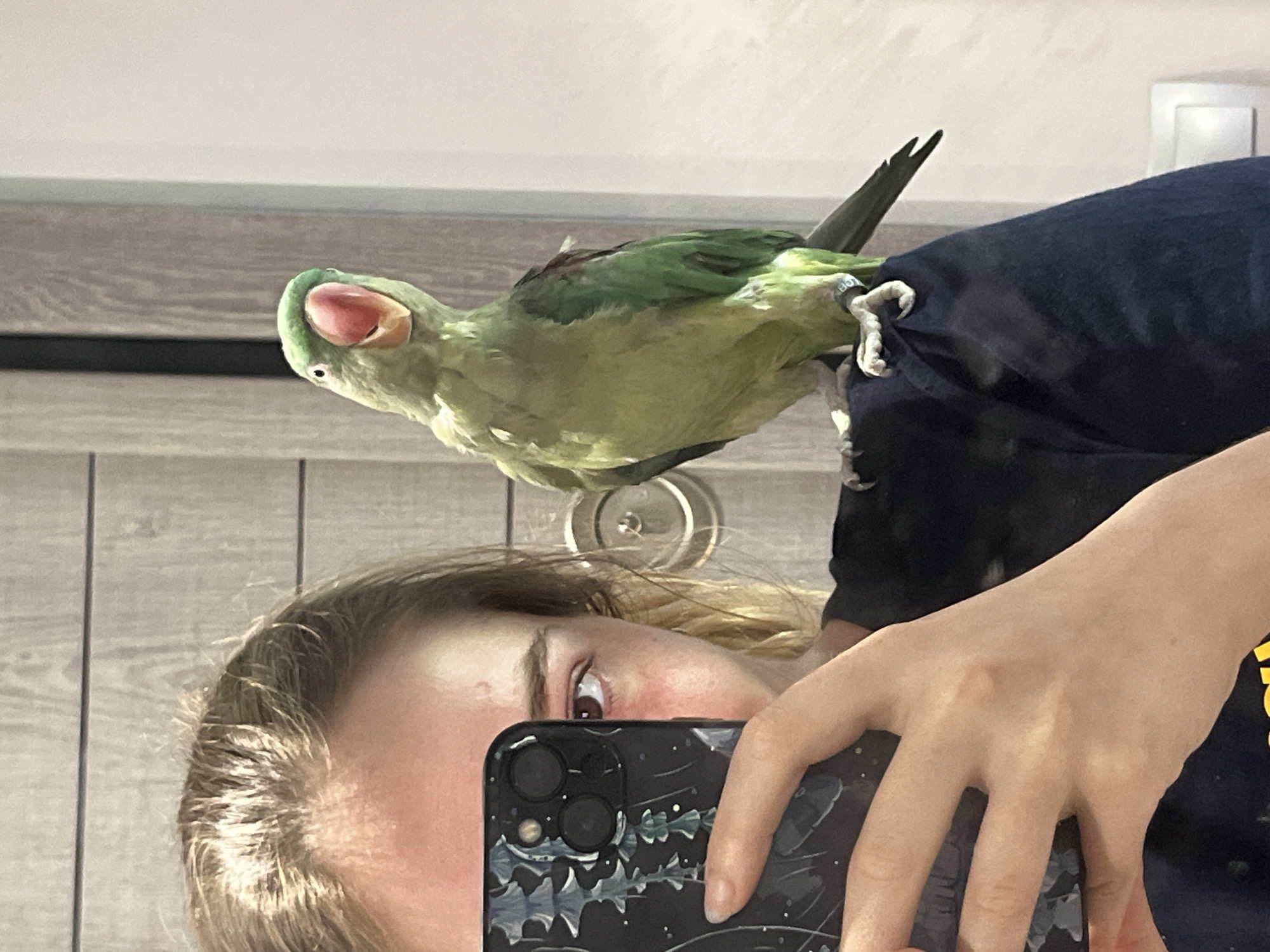 Green parrot selfie encounters captured across multiple indoor locations