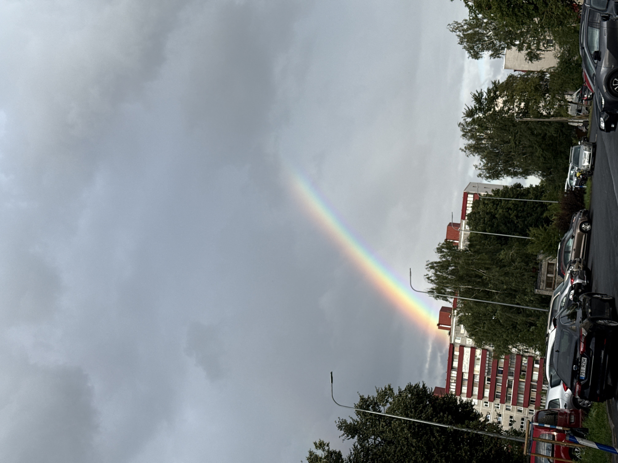 Rainbow over city streets near a mall with a rooftop Ferris wheel
