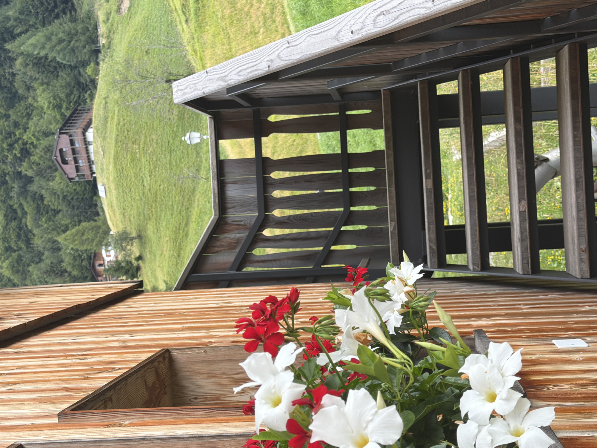 Alpine village in Sauris, flower-filled balconies and mountain views