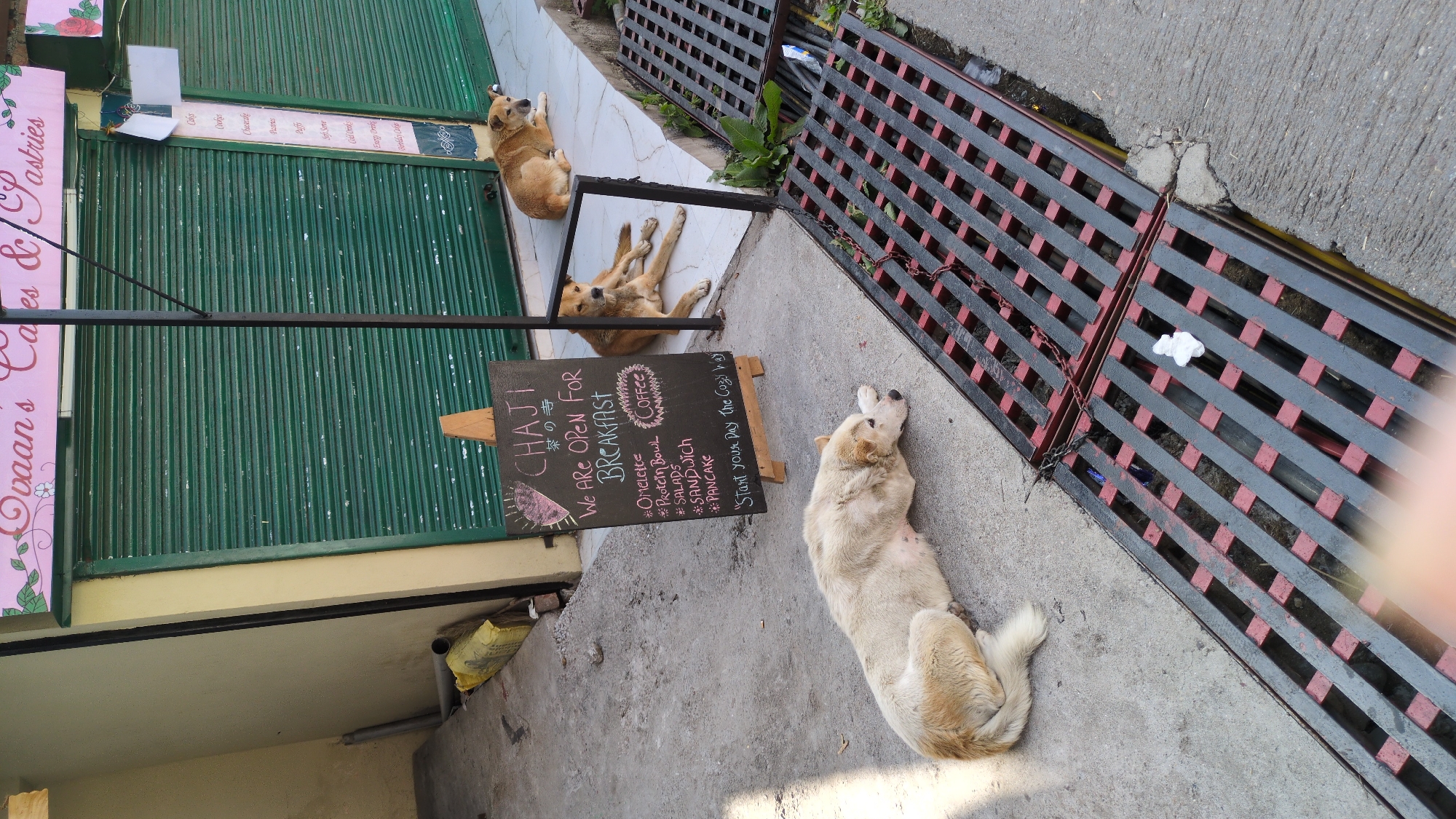 Morning life documented in Bhagsu tourist town, India