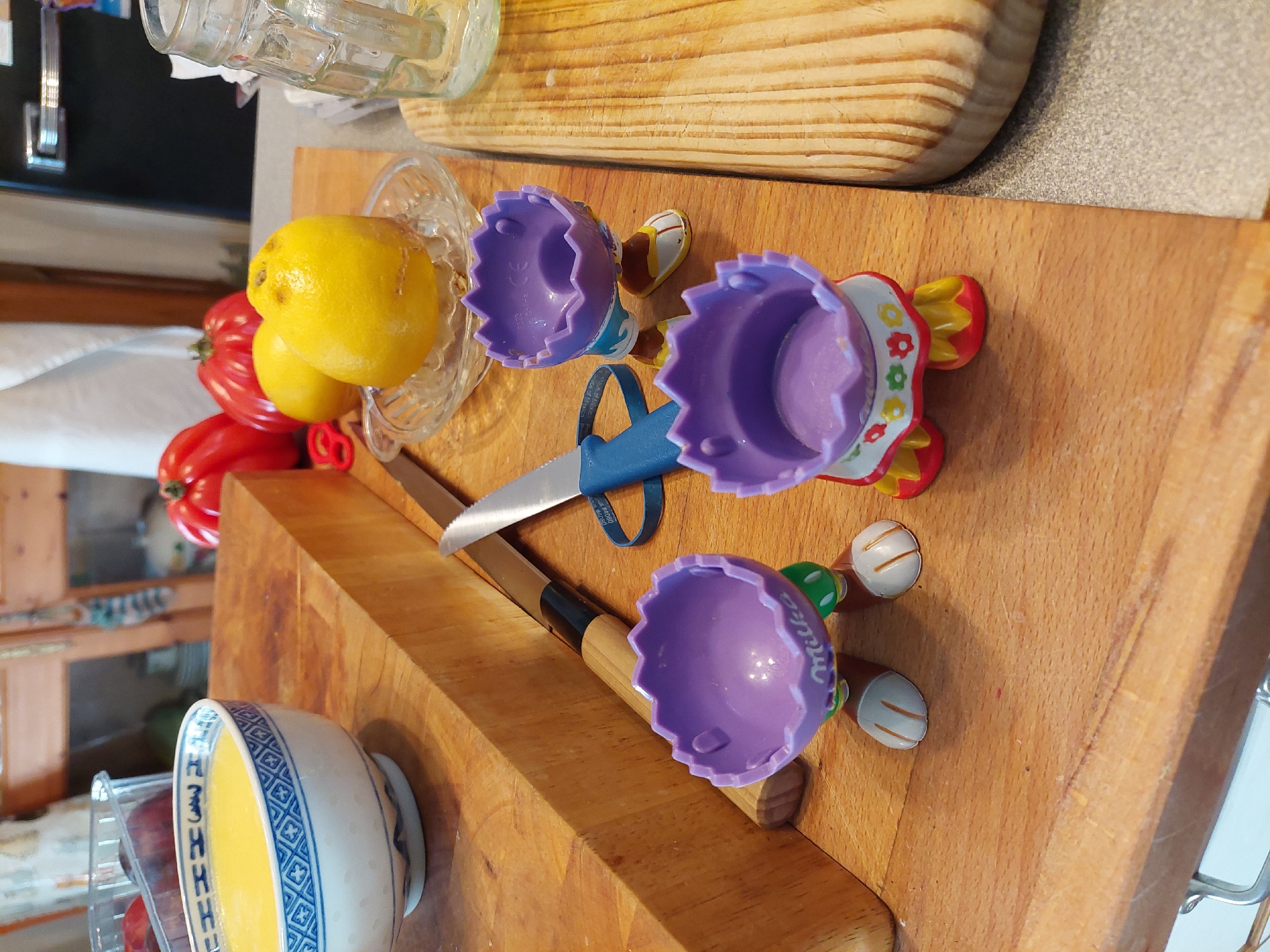 Morning food preparation documented in Ganderkesee kitchen