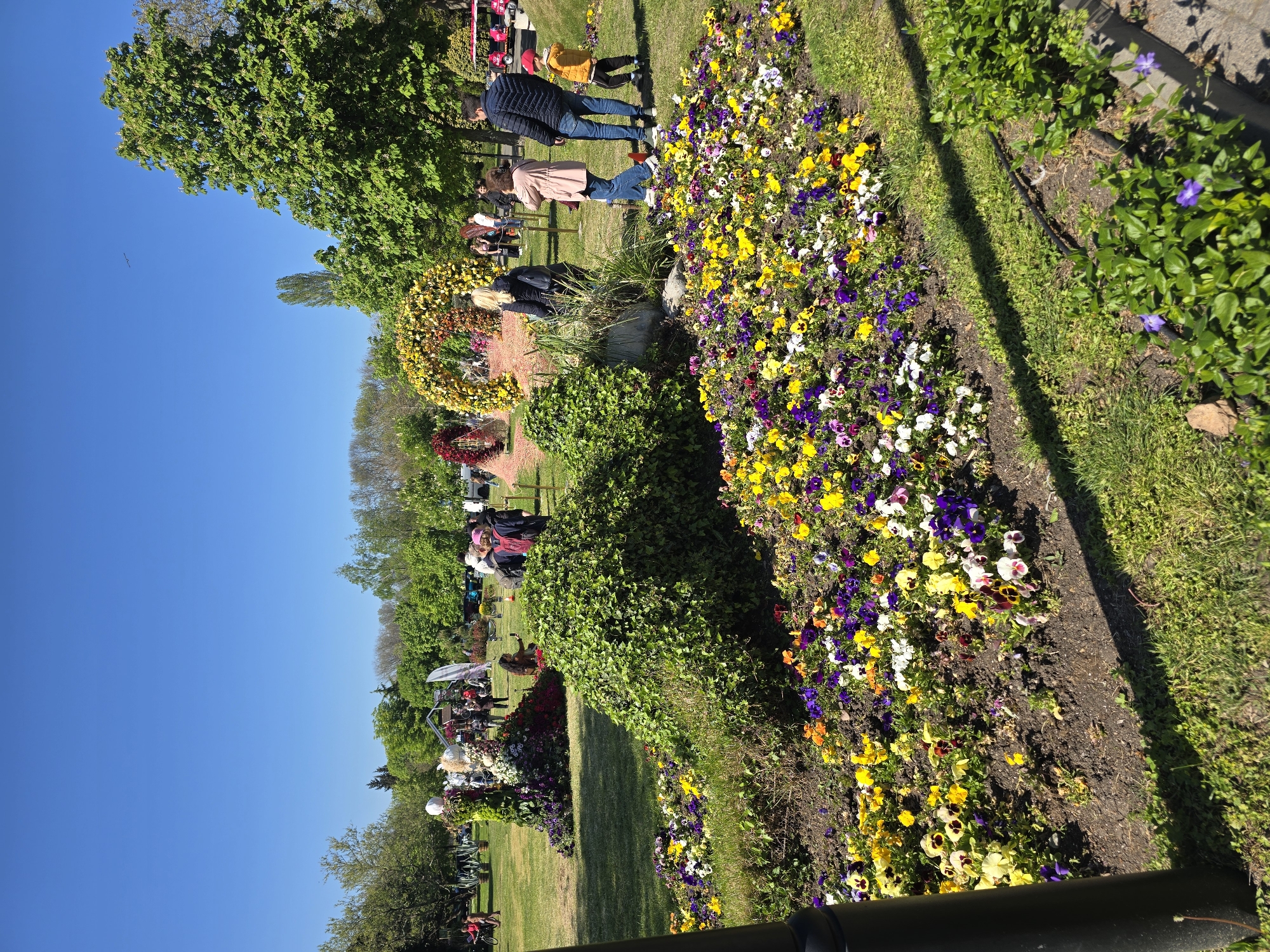Floral exhibition draws visitors to Burgas park with displays, sculptures
