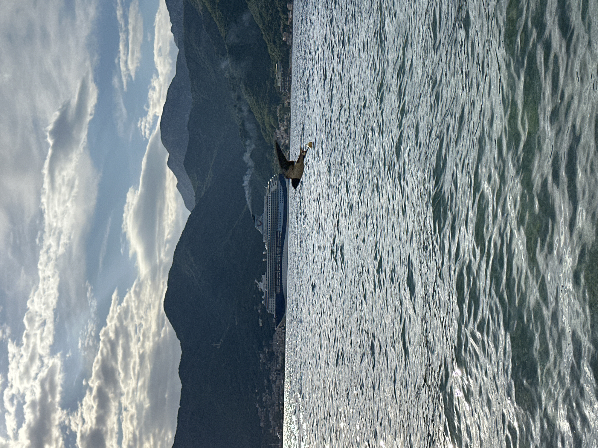 Cruise ship docks in Tivat, Montenegro bay