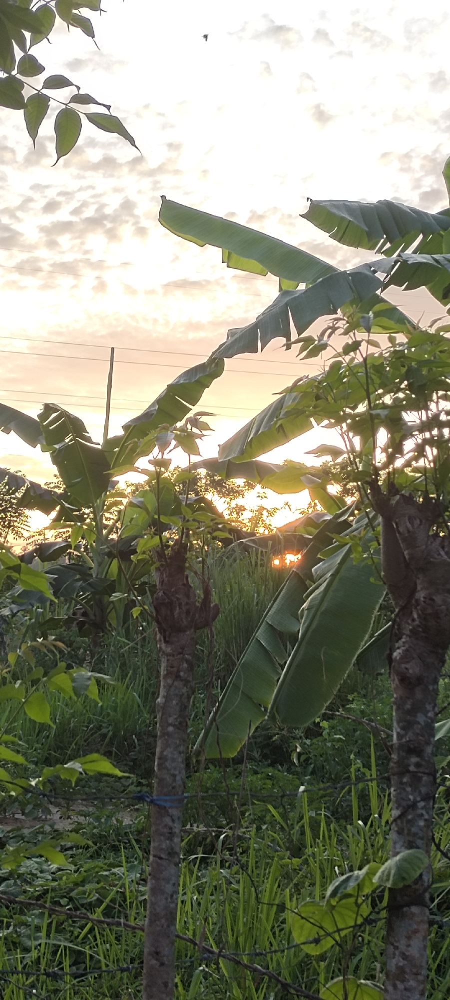 Sunset documented over rural Lhokseumawe landscape, Indonesia