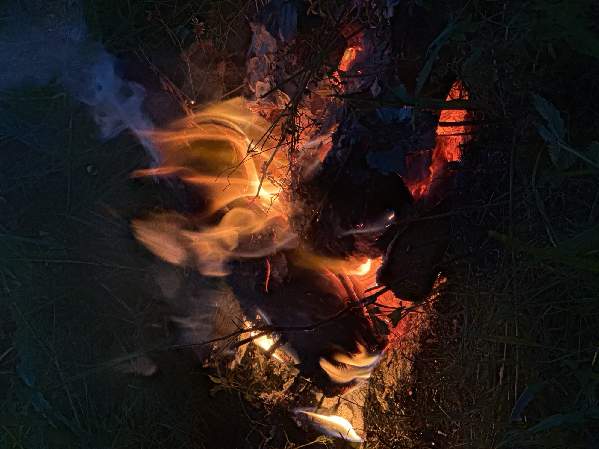 Lakeside campfire night with marshmallows, Noviy Russia