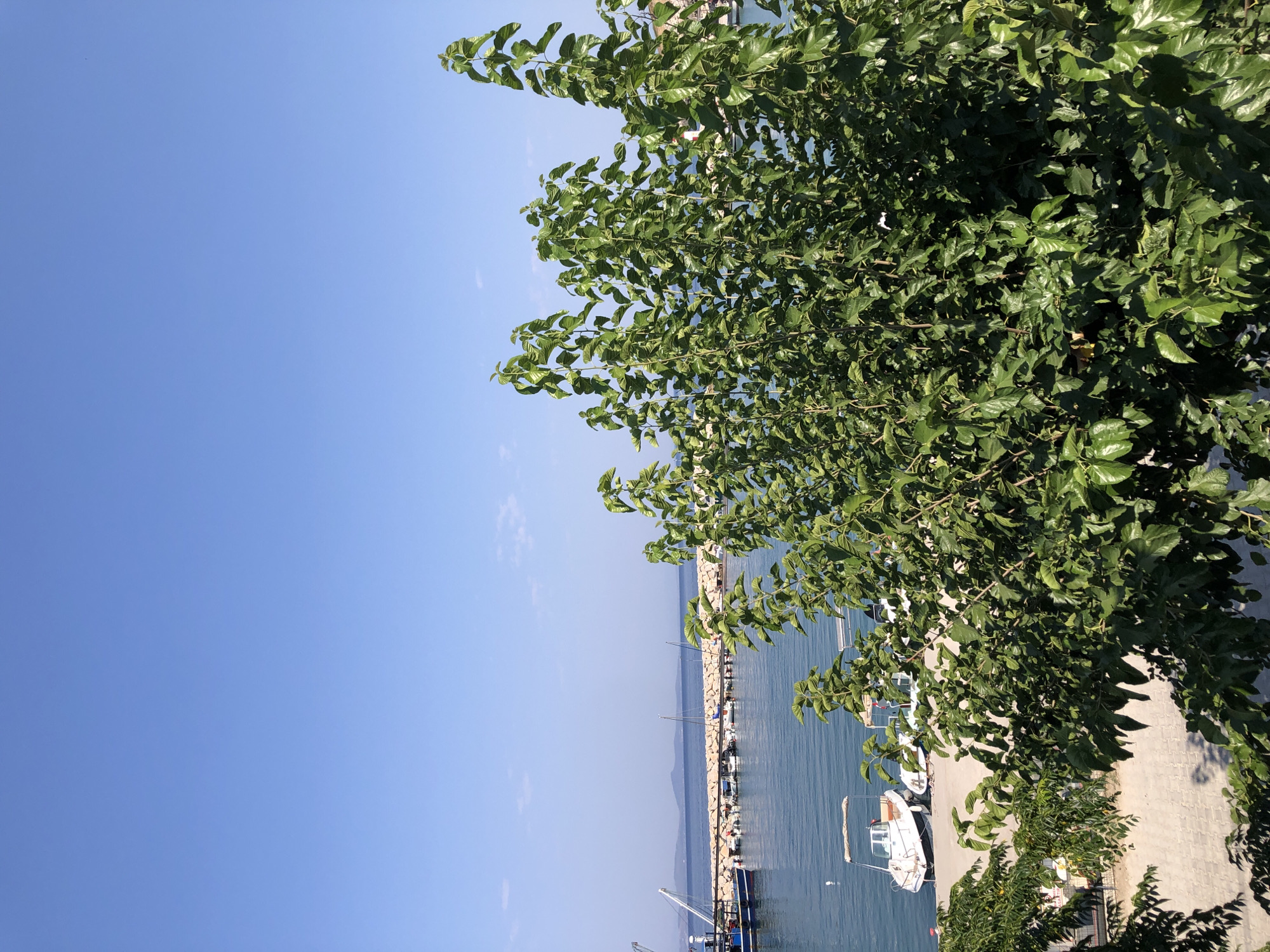 Event