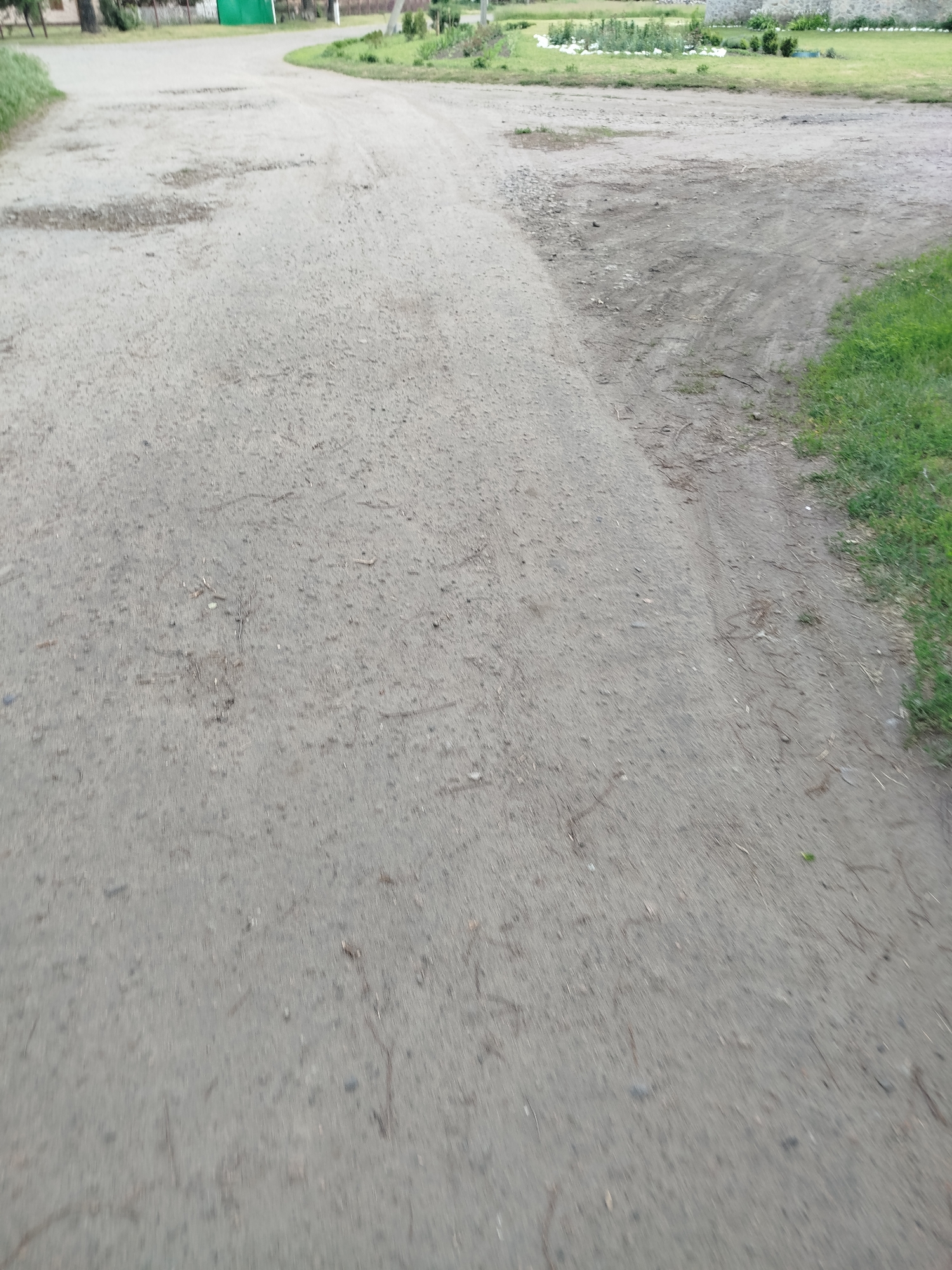Village stroll captured blooming flowers, dirt roads in Ustyvytsia