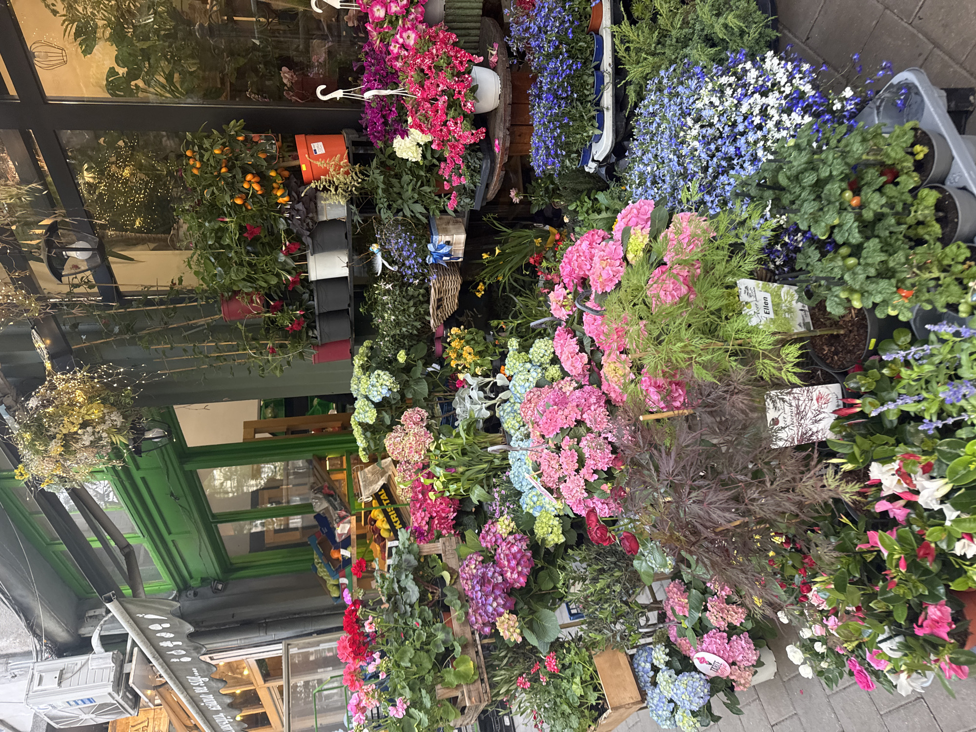 Morning routine documented across Sofia flower shop and cafe
