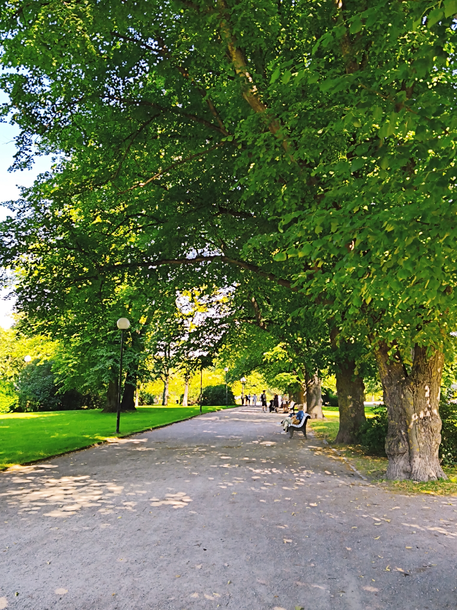 Summer stroll through Tallinn's Old Town ending at a café