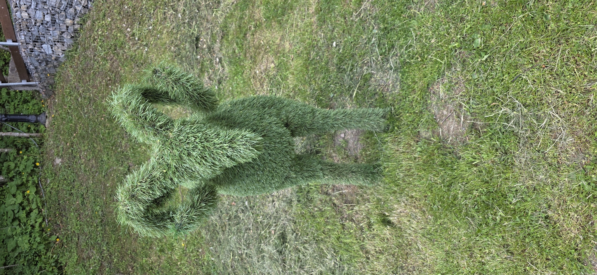 Animal topiary sculptures spotted on lawn in Polianytsia, Ukraine