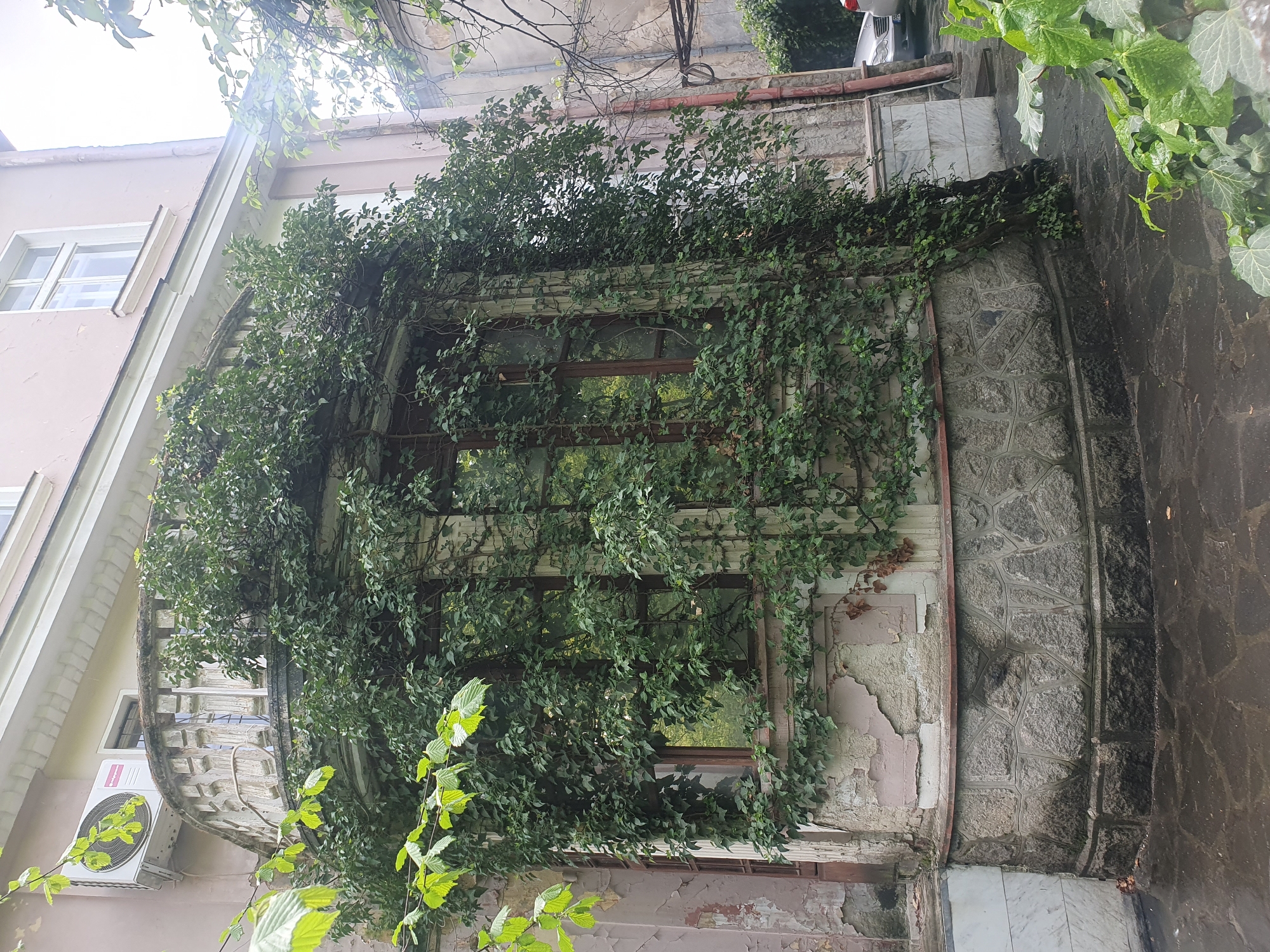 Everyday scenes documented across Plovdiv during spring morning