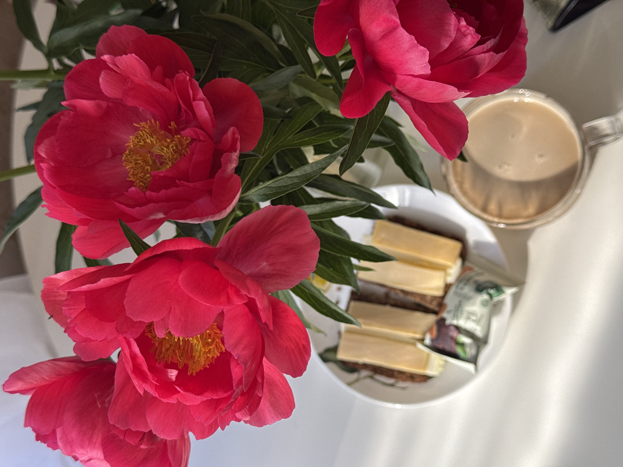 Morning moments documented across Chaikovsky, Russia include flowers, coffee, selfie