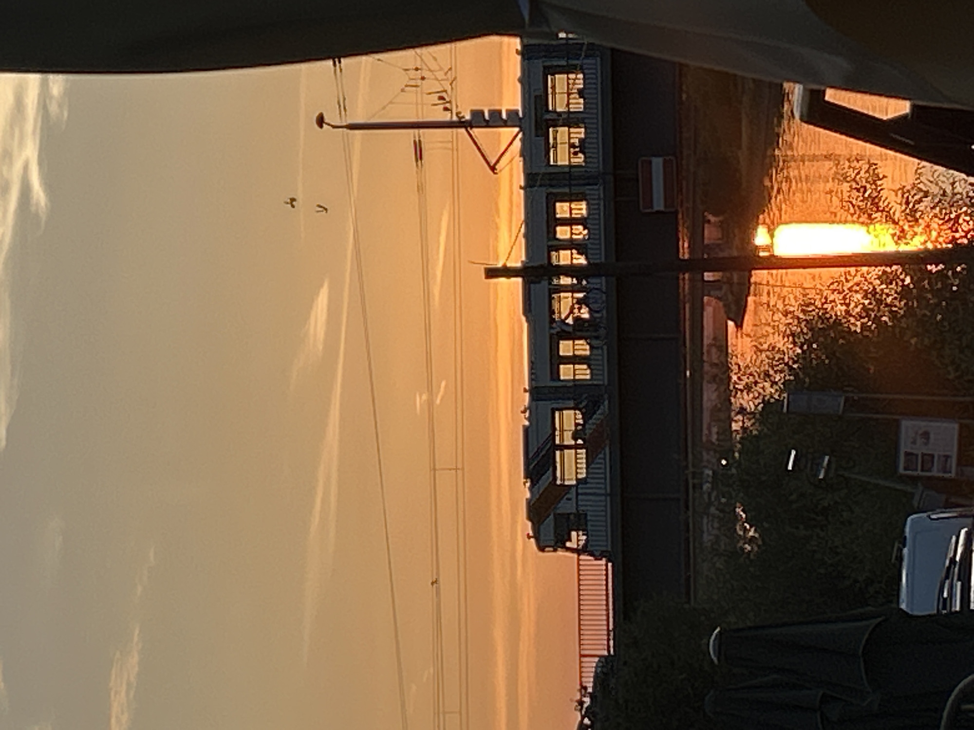 Golden-hour trams and riverside light in Mannheim