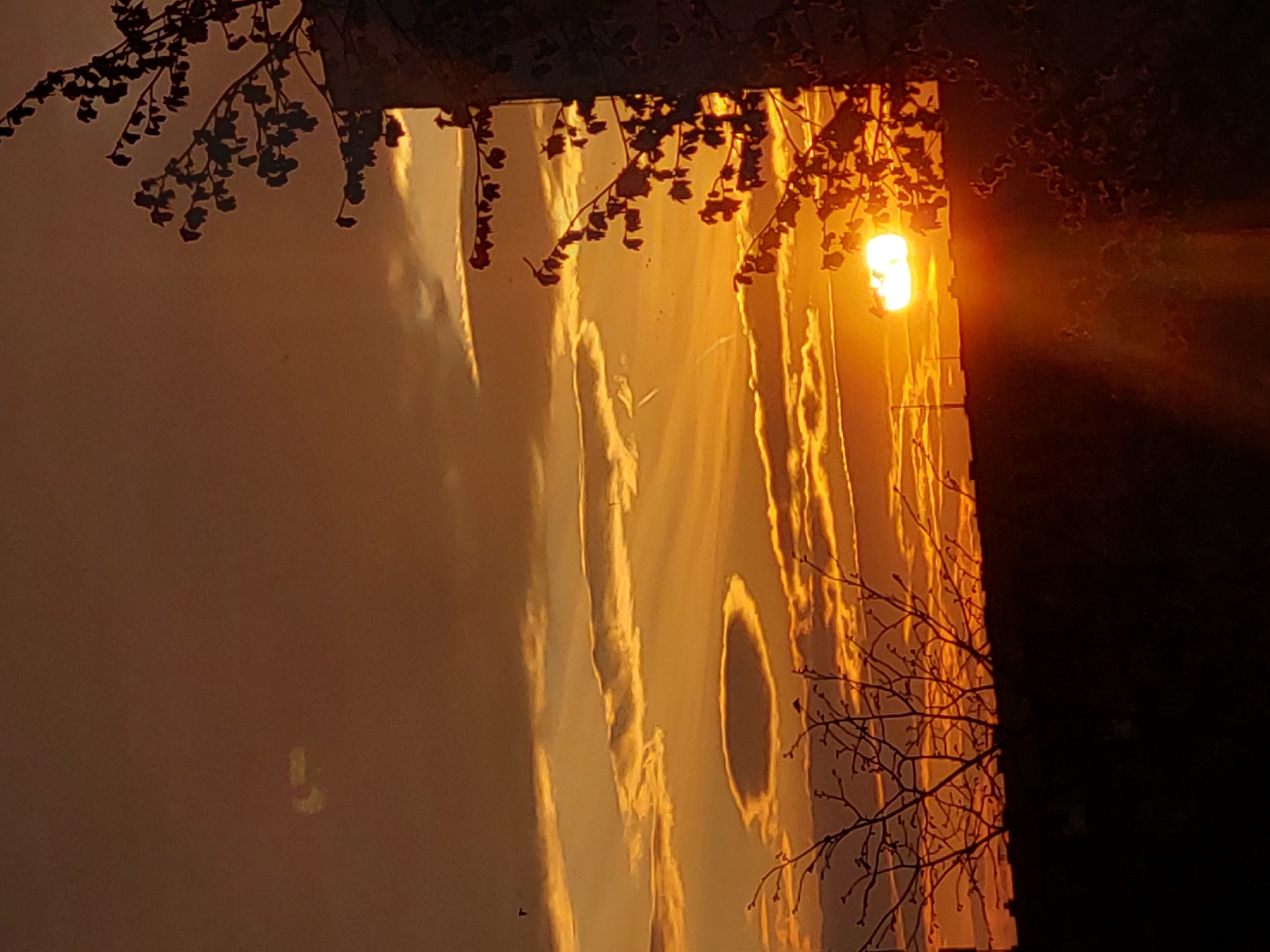 Reflective surface observed during golden hour lighting conditions