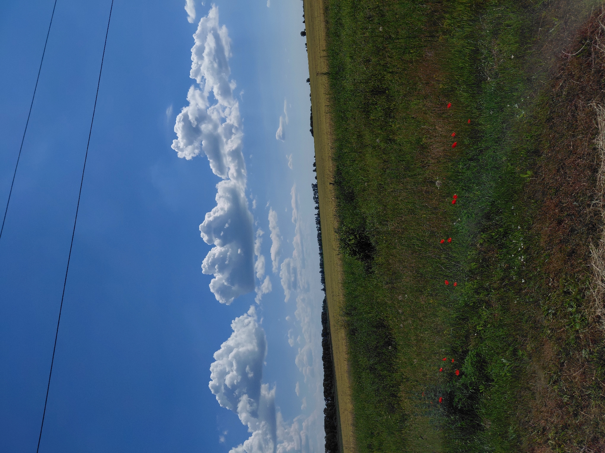 Open farmland and country roads on a clear summer morning