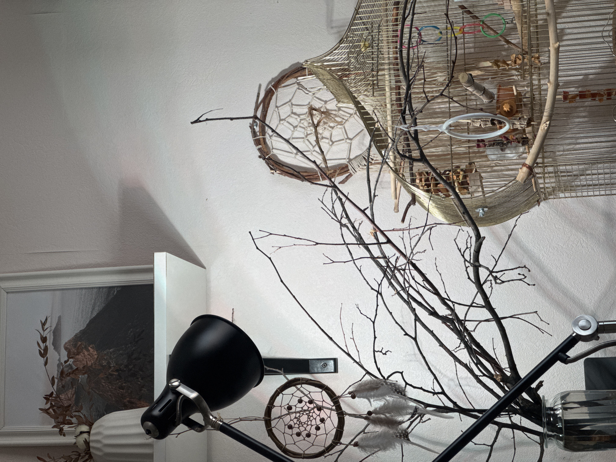 Izhevsk resident documents afternoon with selfies, pet birds, home decor