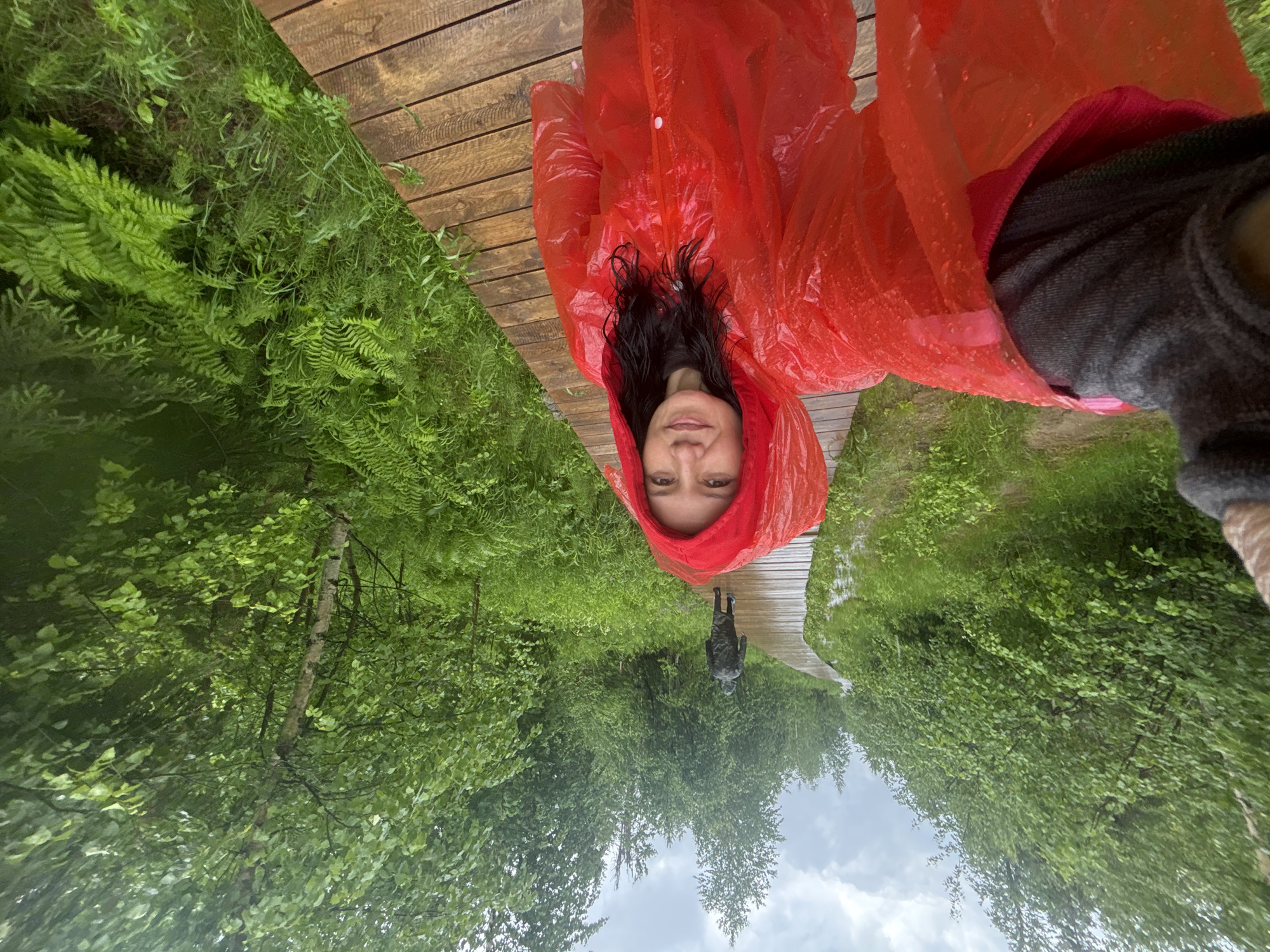 Hikers navigate wet forest boardwalks in rainy Russian wilderness
