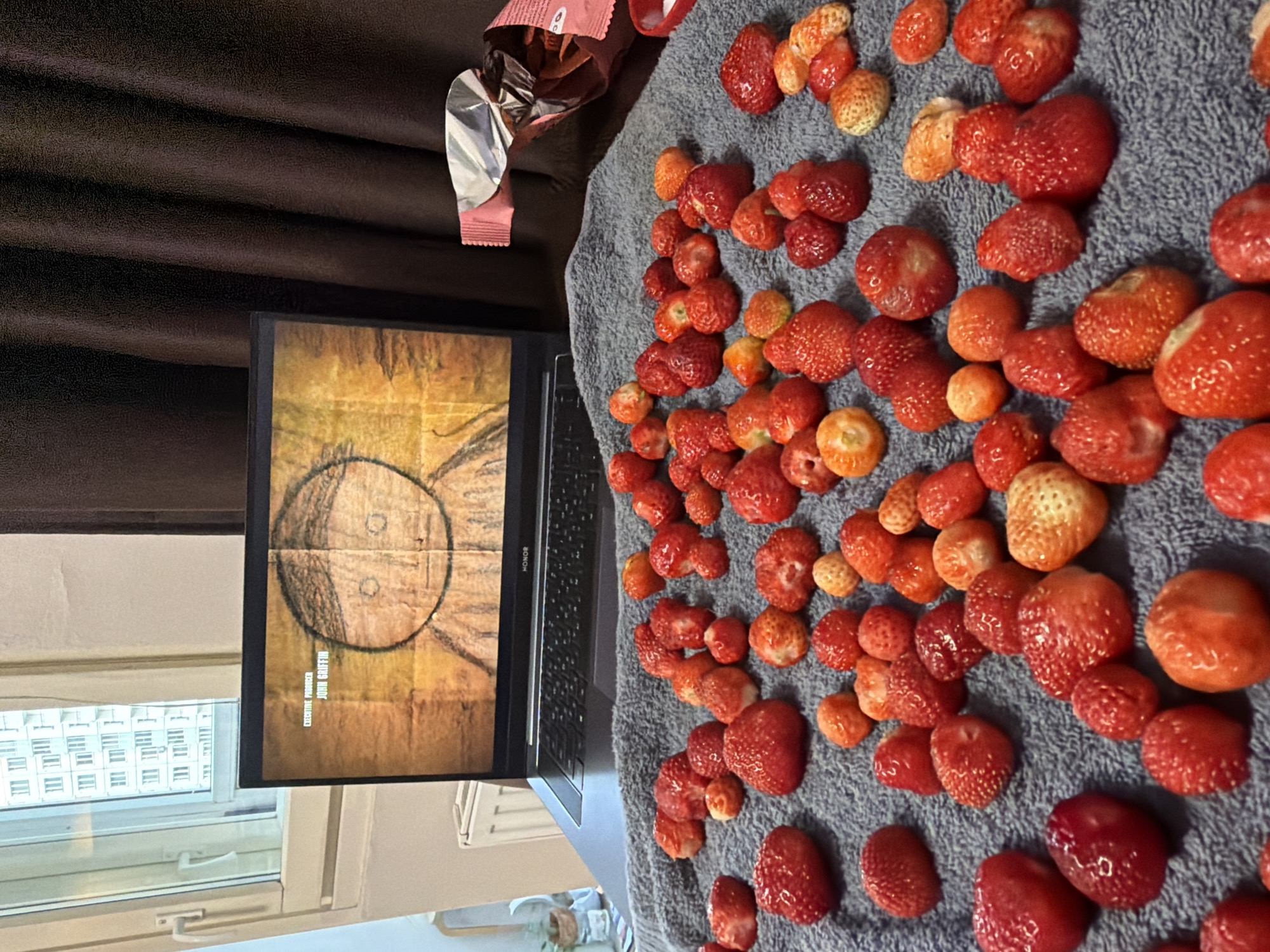 Strawberries, snacks, and a laptop on a grey blanket in Koltushi