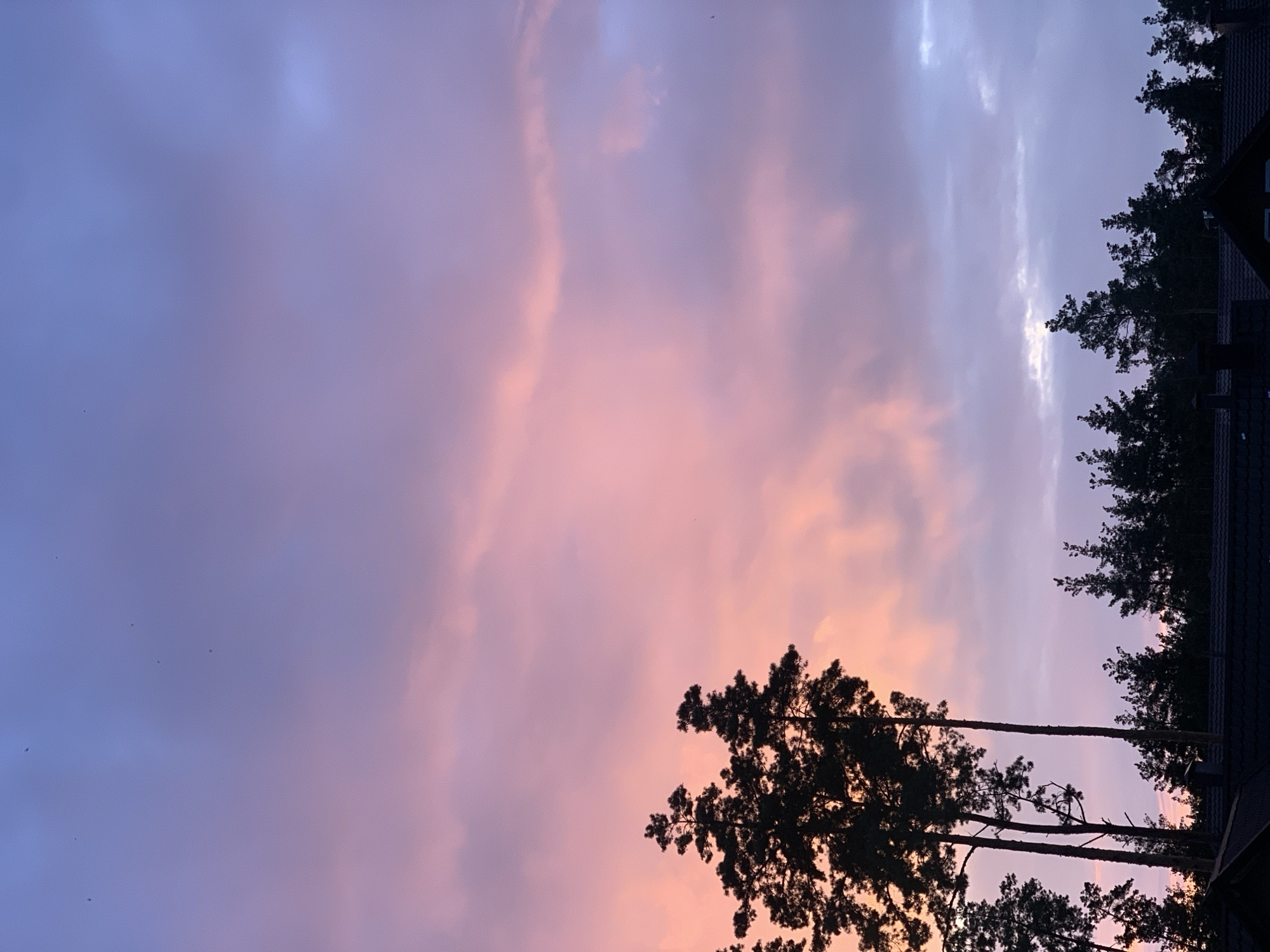 Pink and purple sunset fades over Hostomel rooftops and pines