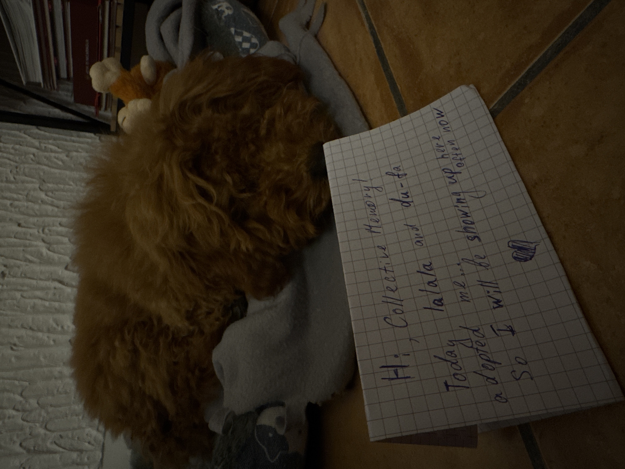 Woman and poodle share quiet moments at home in Montenegro