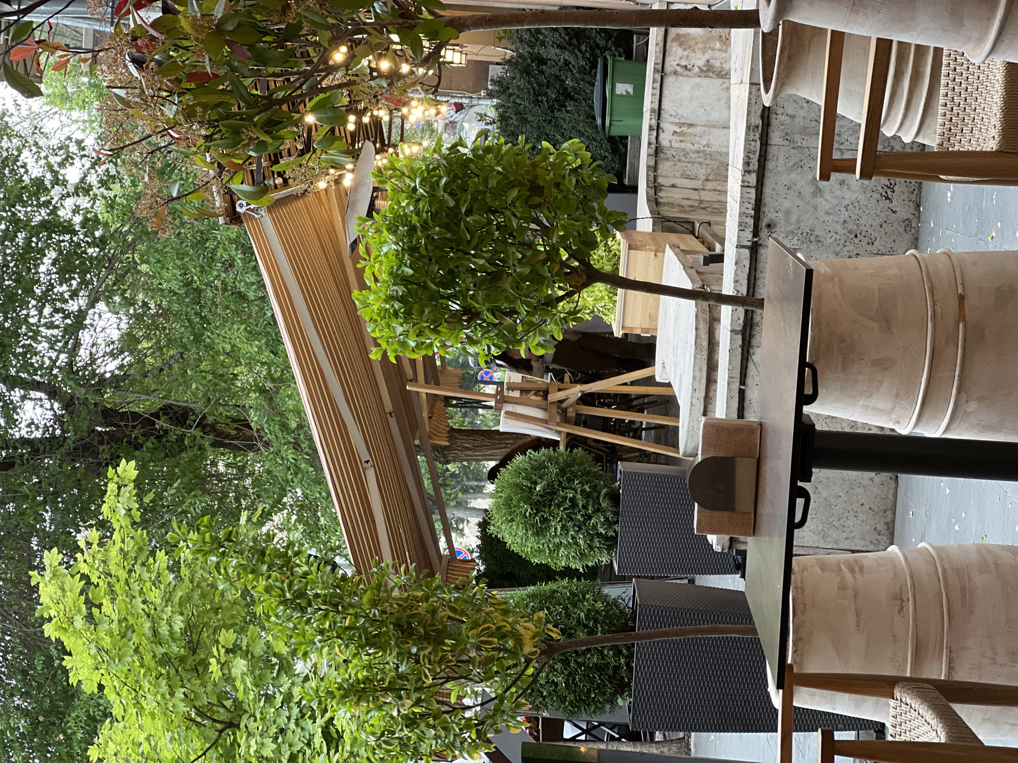 Lunch gathering documented at Yerevan outdoor restaurant