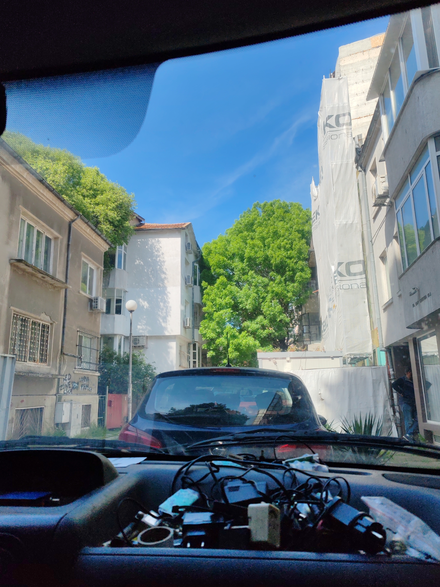 Driver observes mixed architecture and greenery from car