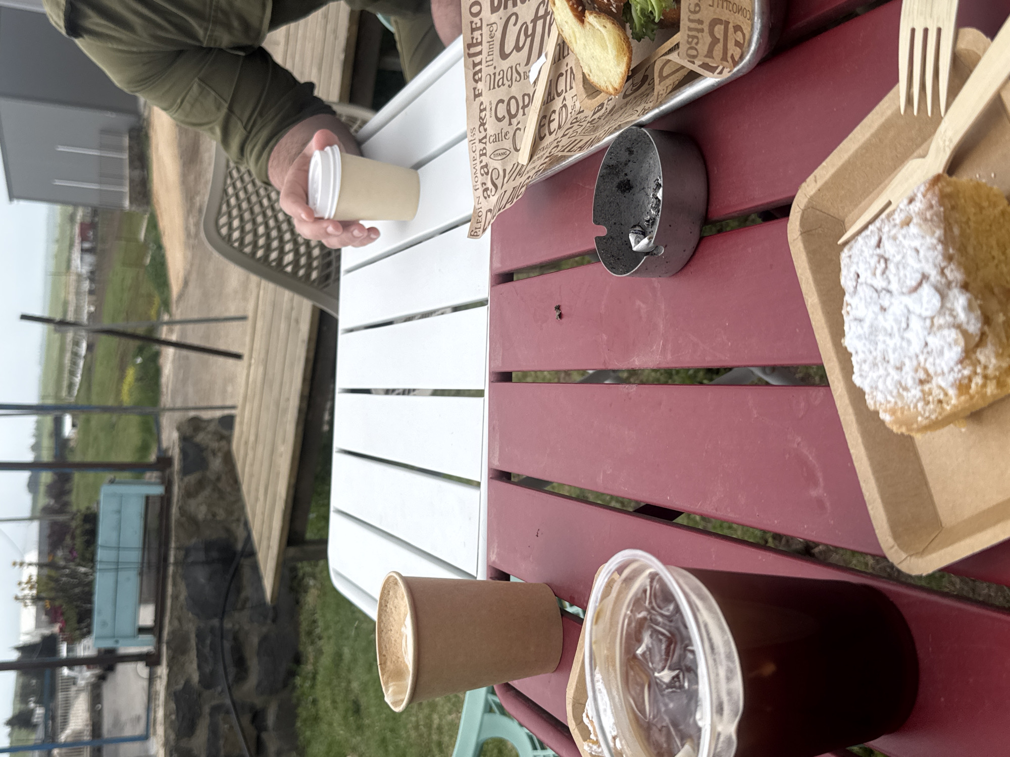 Morning meal enjoyed outdoors near Golan vineyards