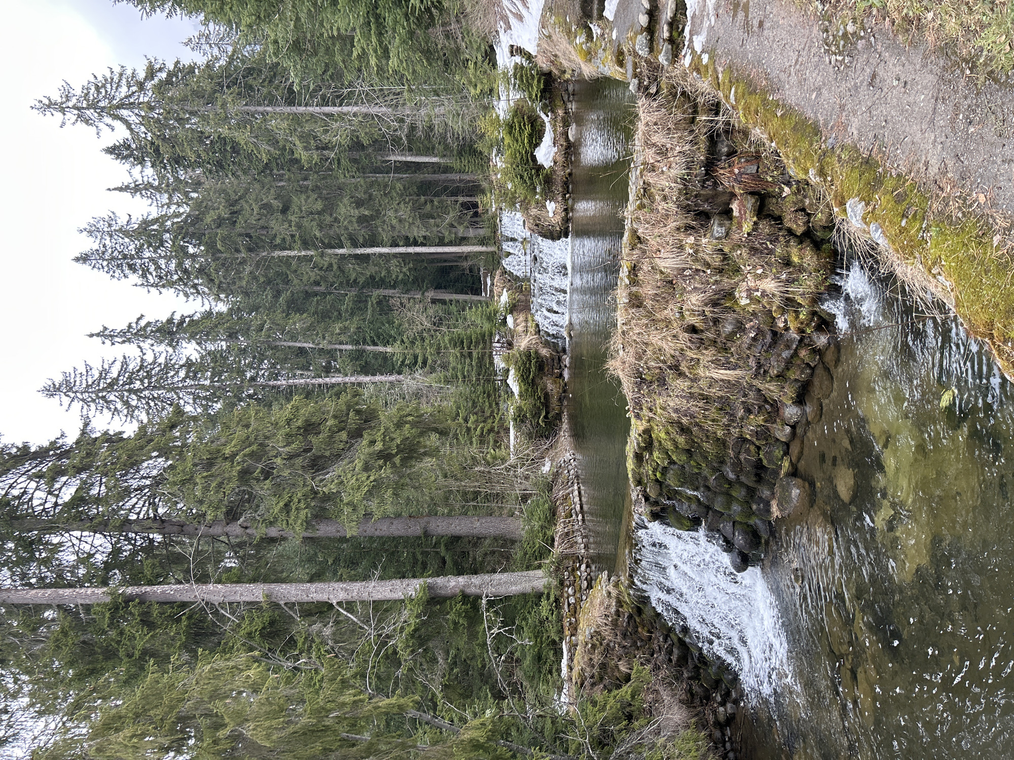 Stream with waterfalls photographed in Bulgarian forest near Samokov